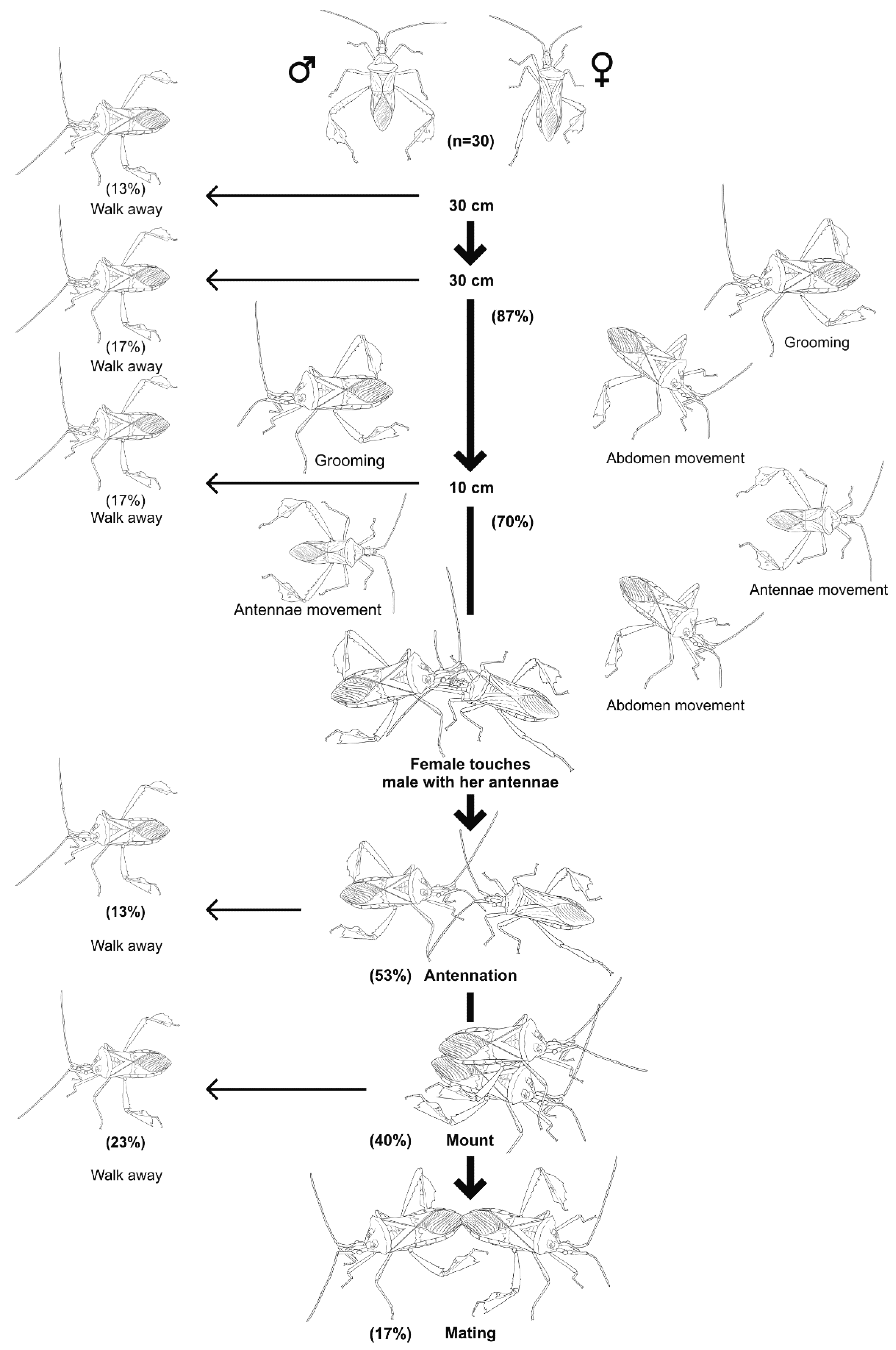 Insects 09 00091 g006 550