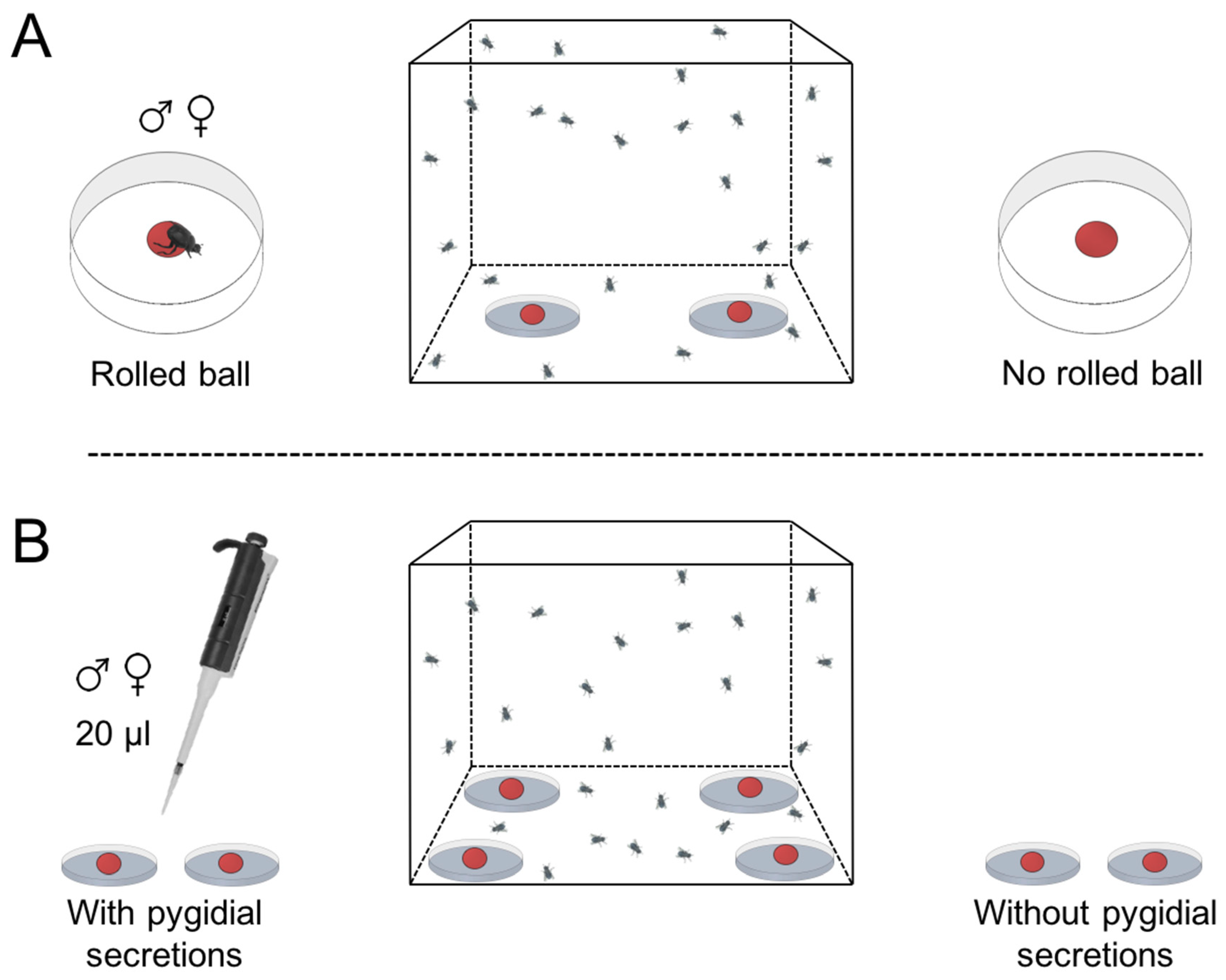 Insects 09 00092 g002 550