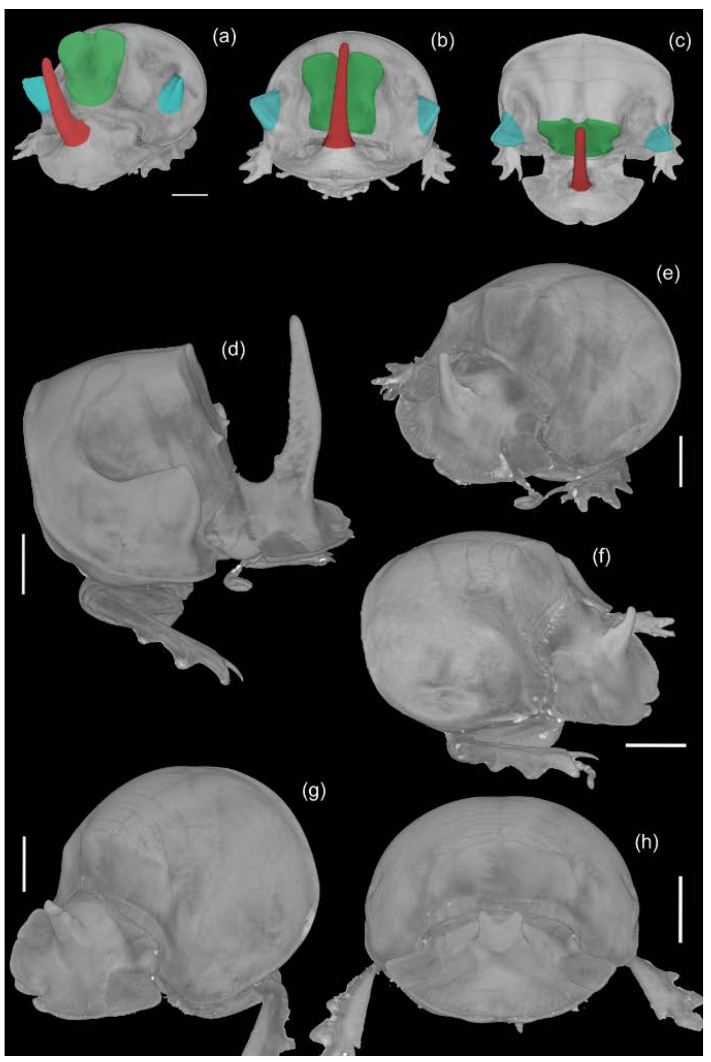 Insects 09 00108 g005 Insects 09 00108 g005