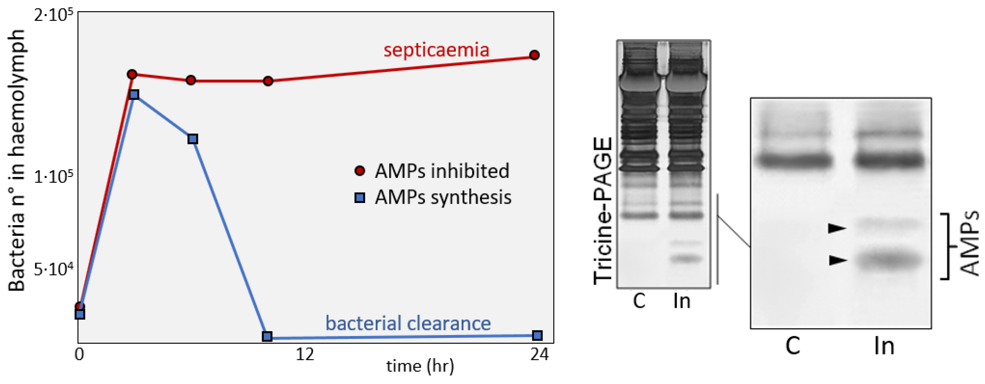 Insects 09 00117 g008 Insects 09 00117 g008