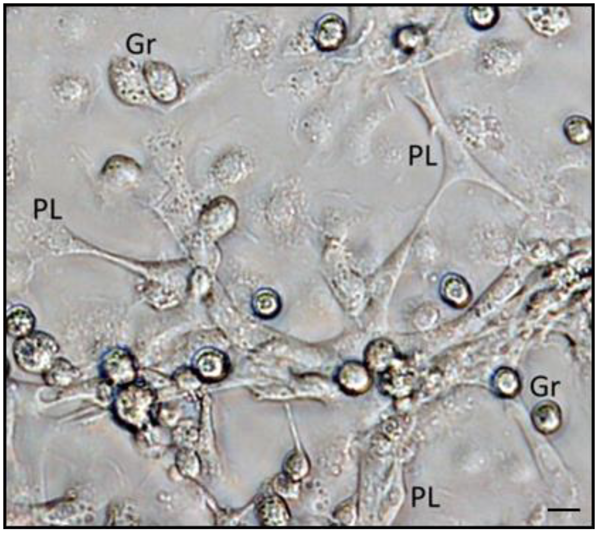 Insects 09 00117 g009 Insects 09 00117 g009