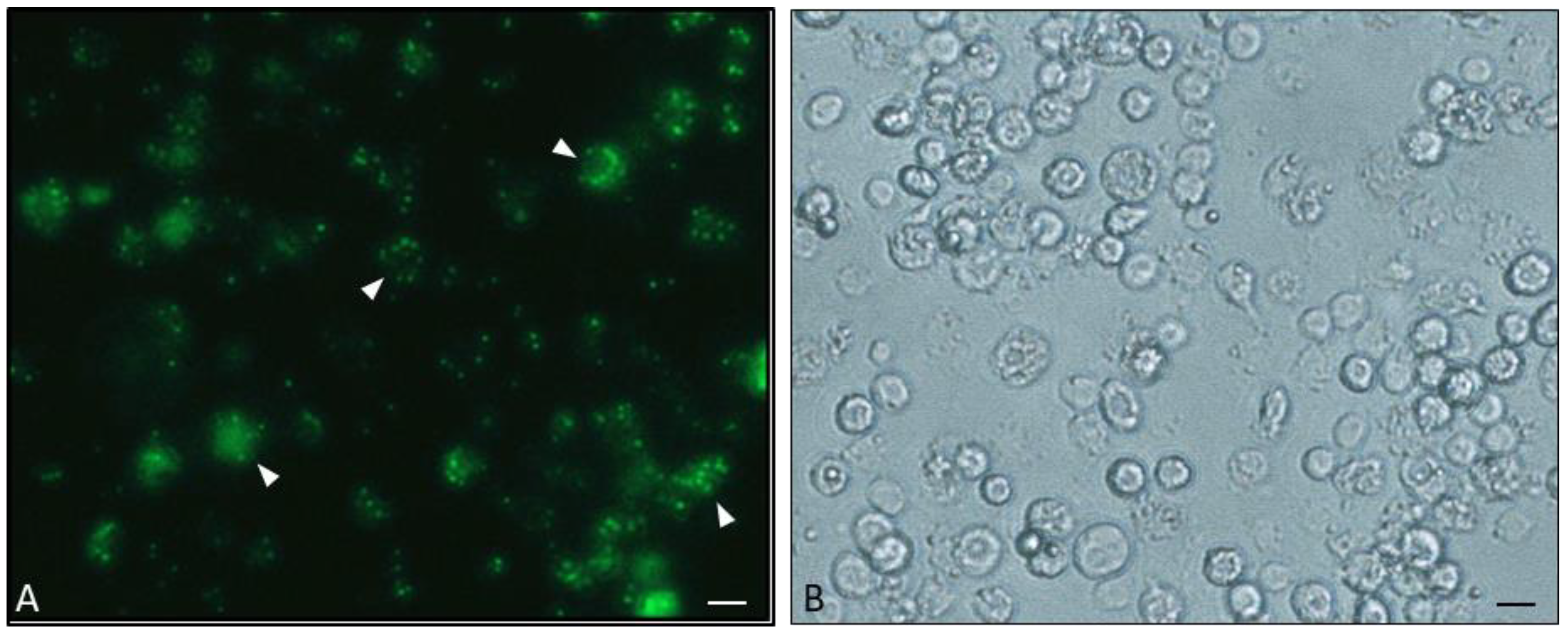 Insects 09 00117 g010 Insects 09 00117 g010