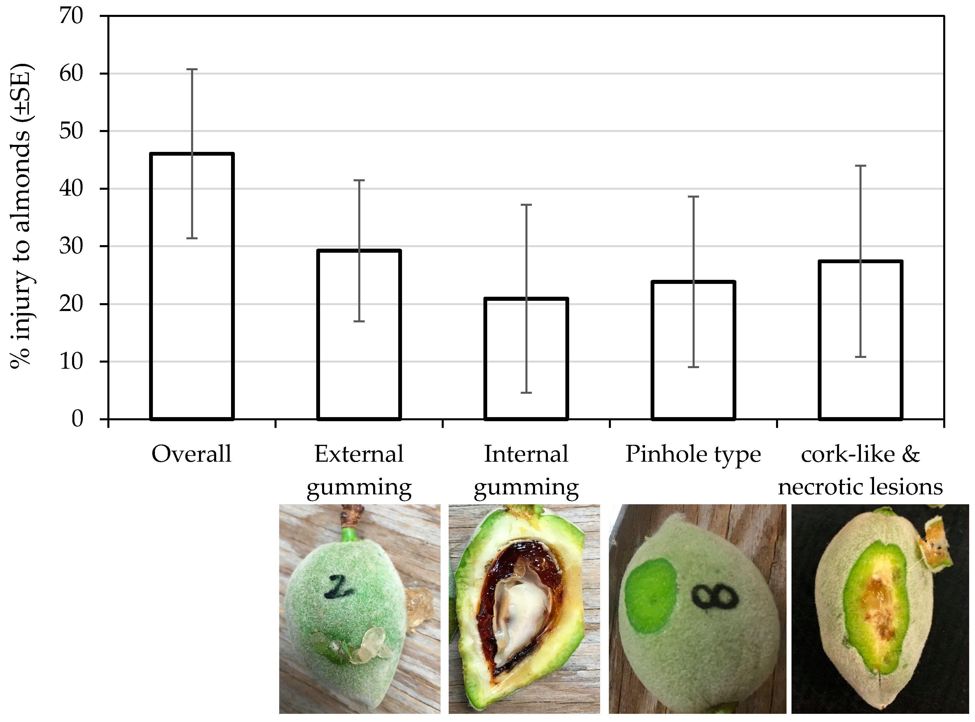 Insects 09 00126 g003