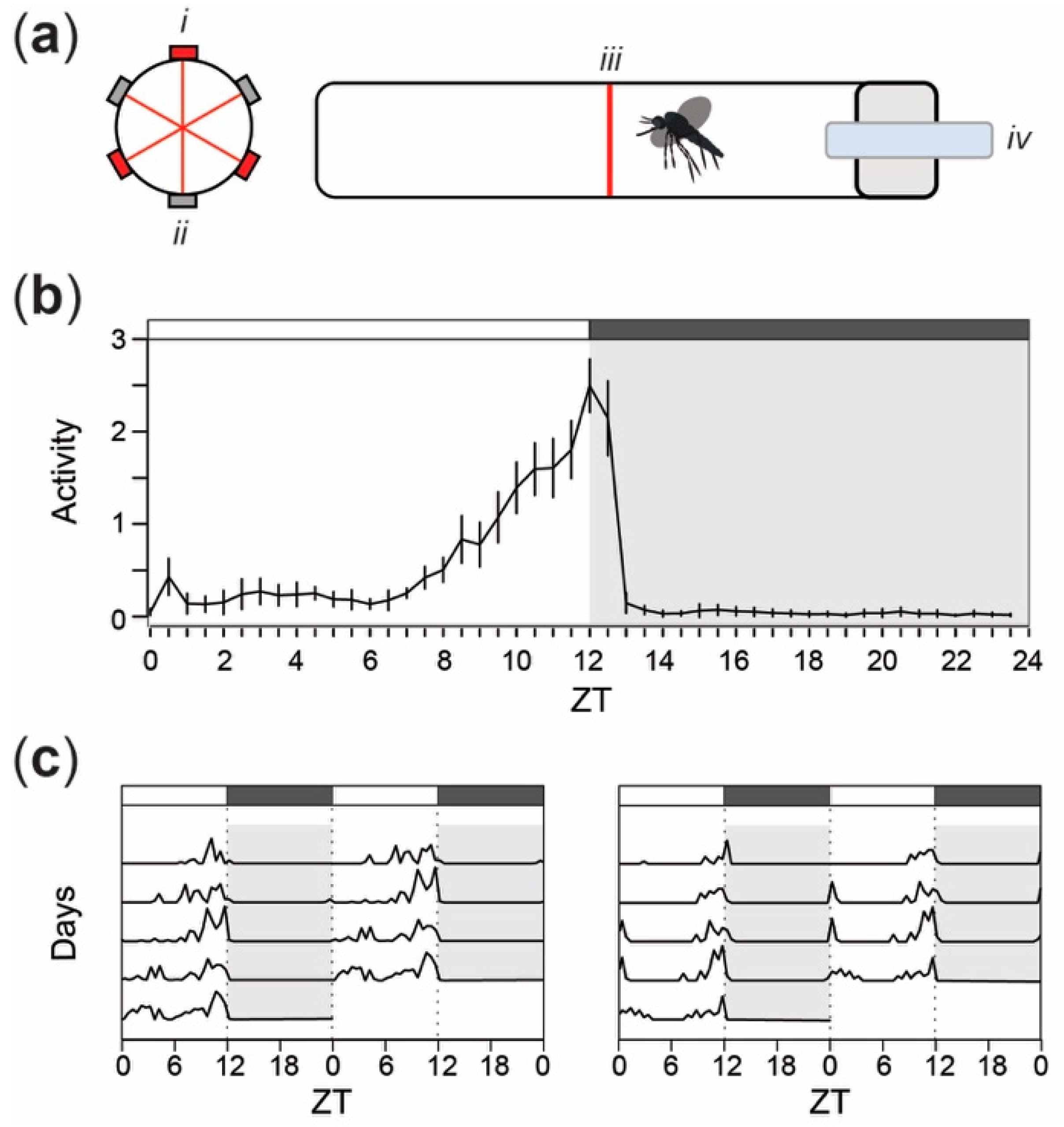 Insects 09 00147 g001
