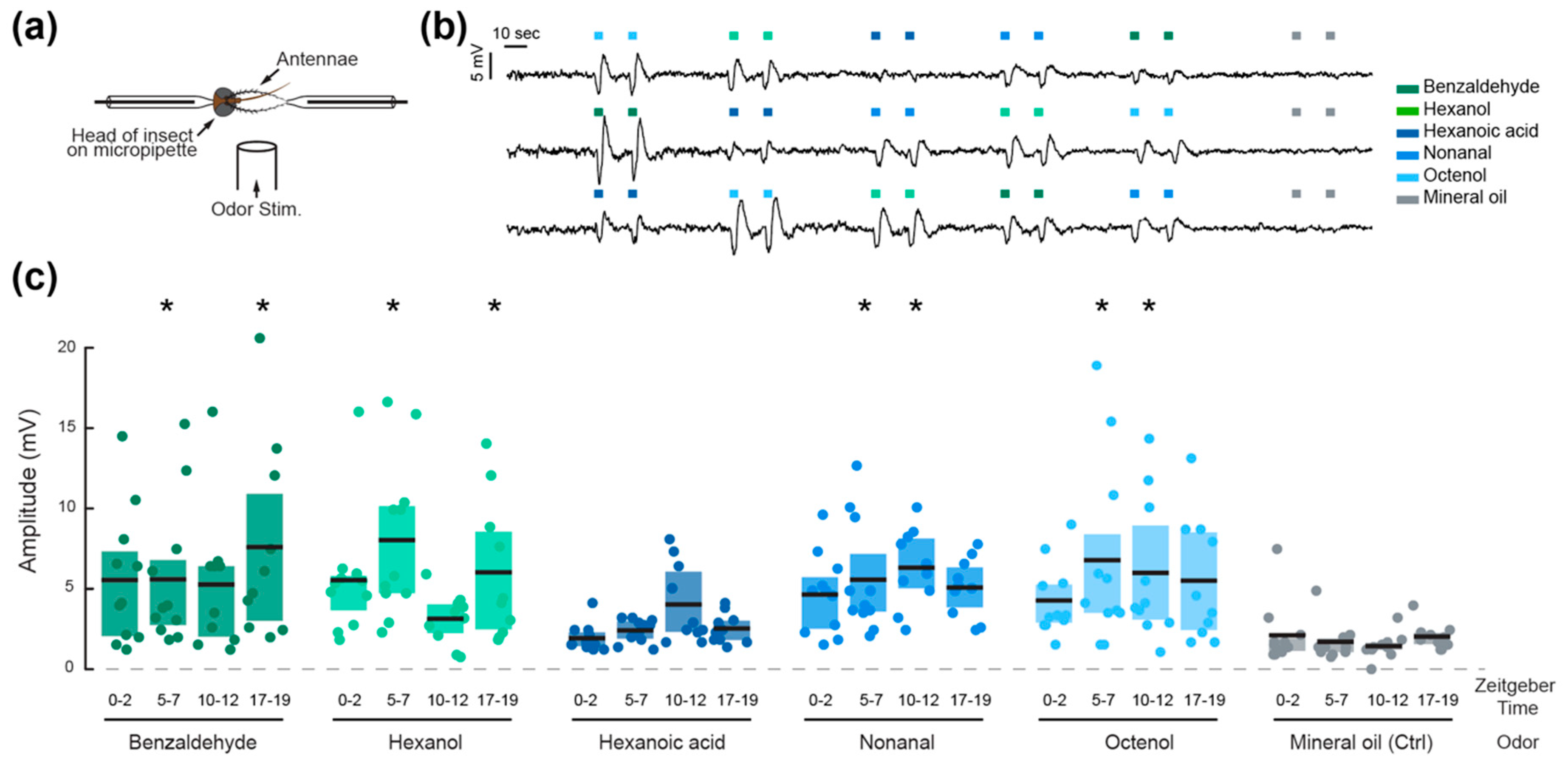 Insects 09 00147 g002