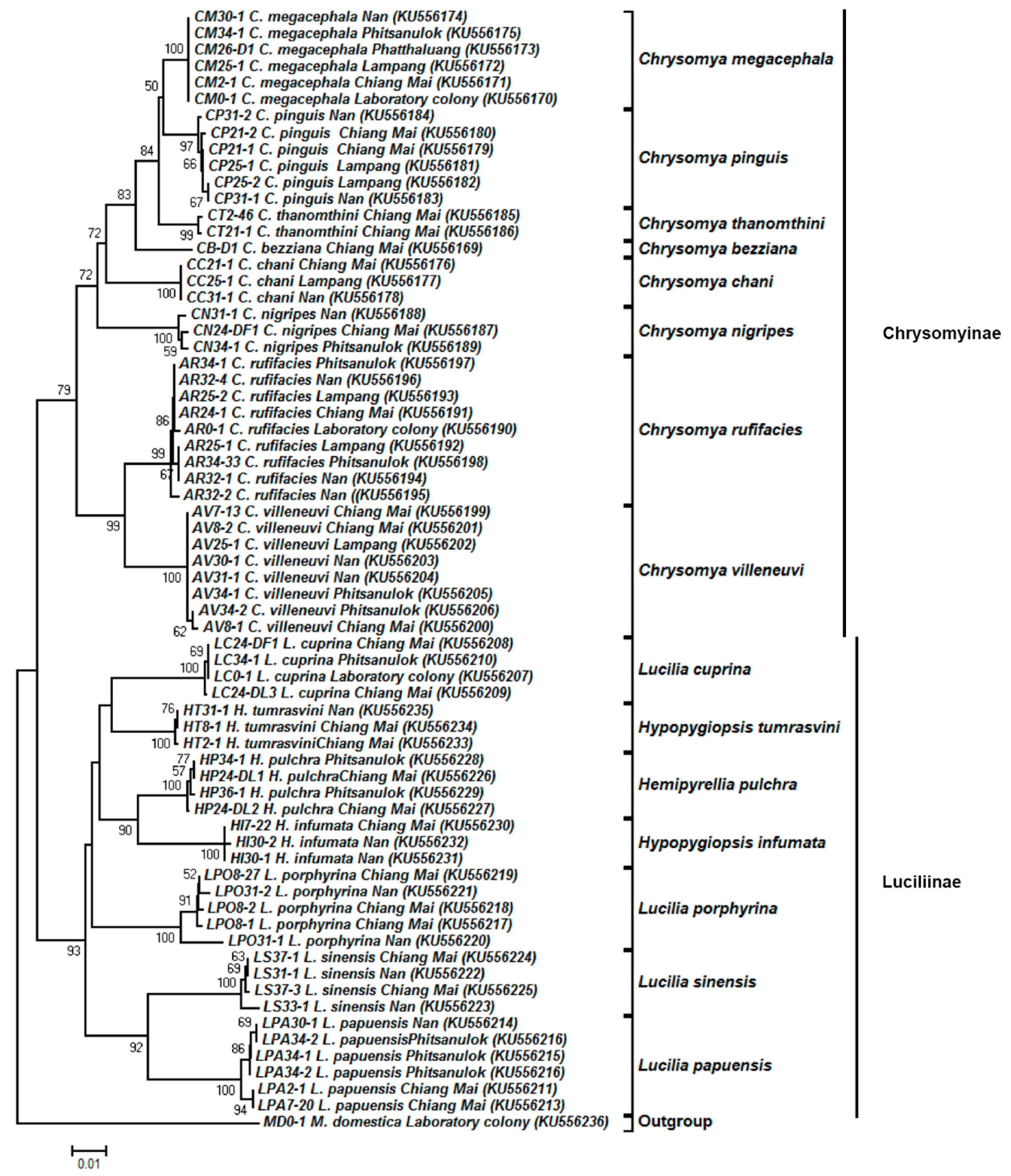 Insects 09 00159 g004 Insects 09 00159 g004