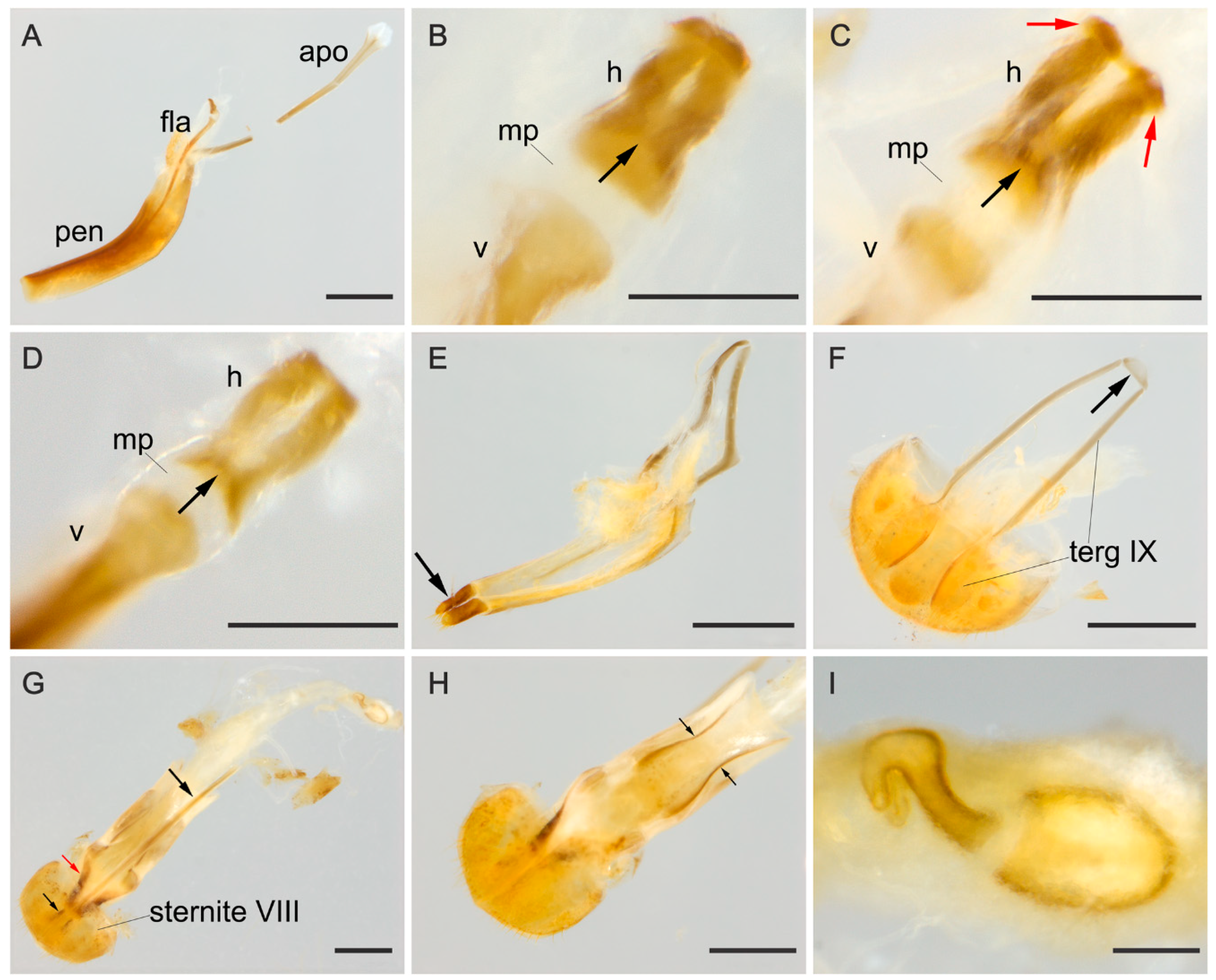 Insects 09 00168 g002