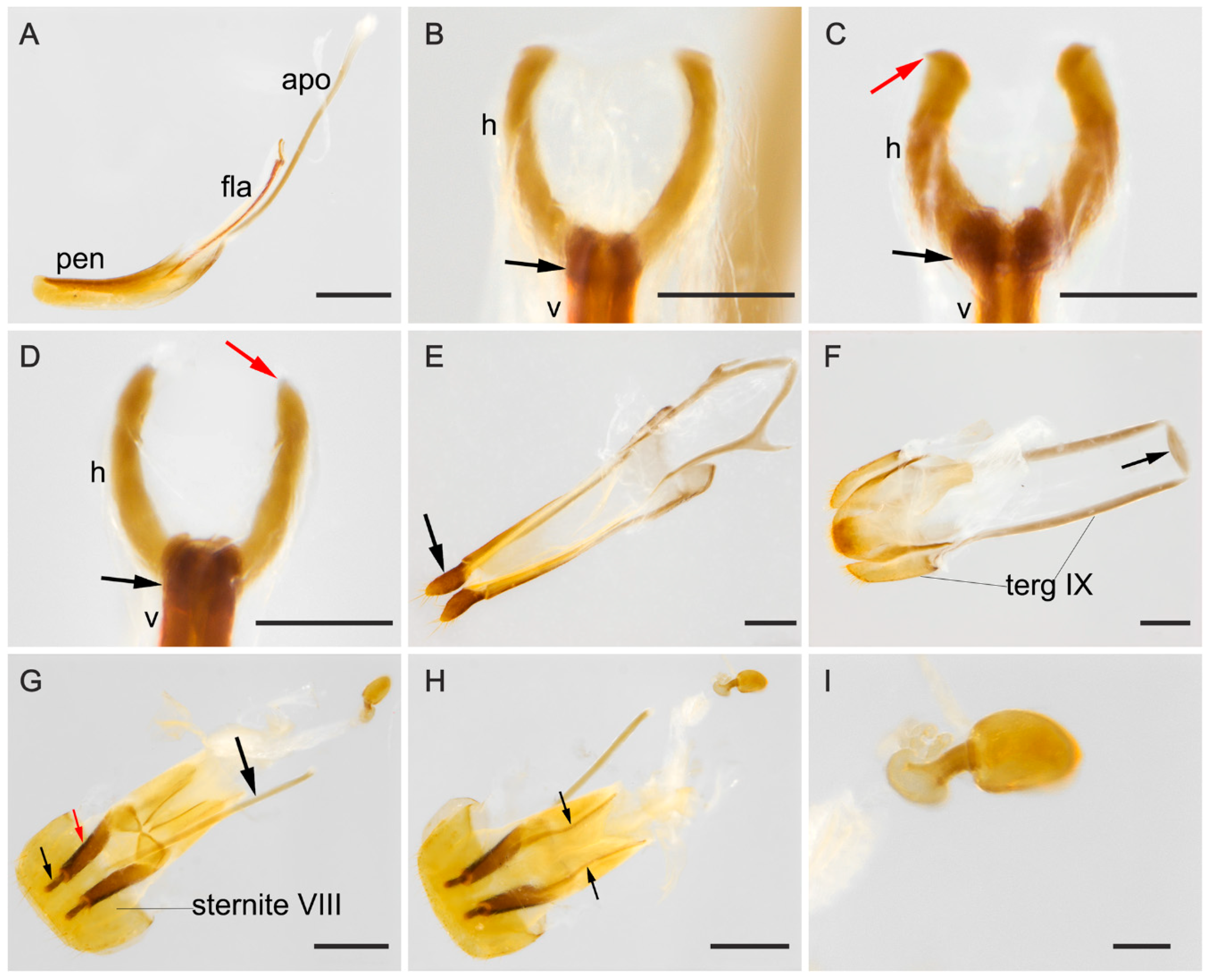 Insects 09 00168 g005