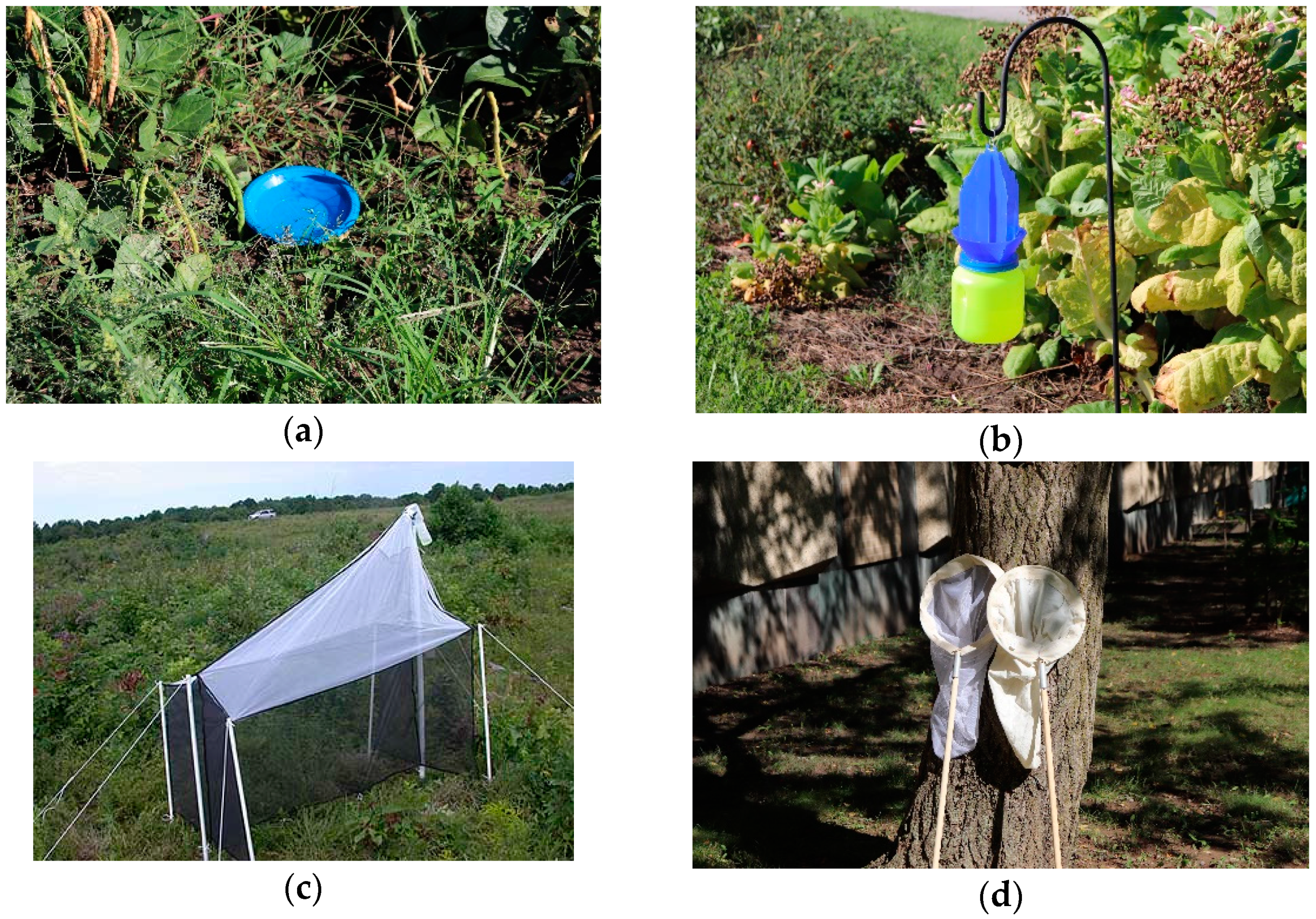 Insects 09 00170 g002 Insects 09 00170 g002