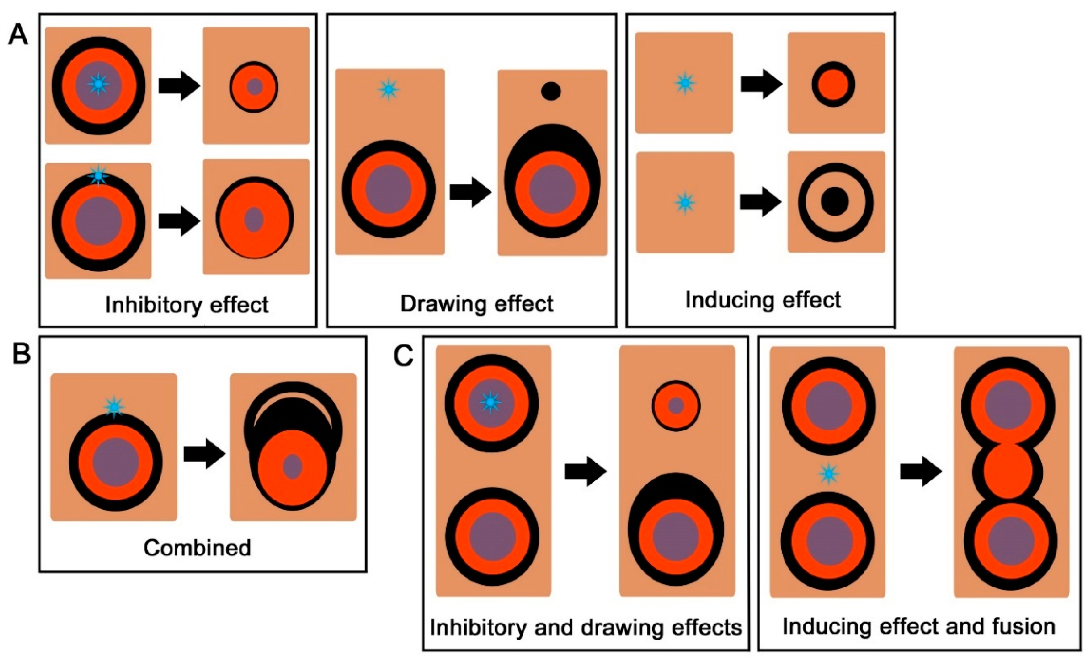 Insects 09 00195 g007