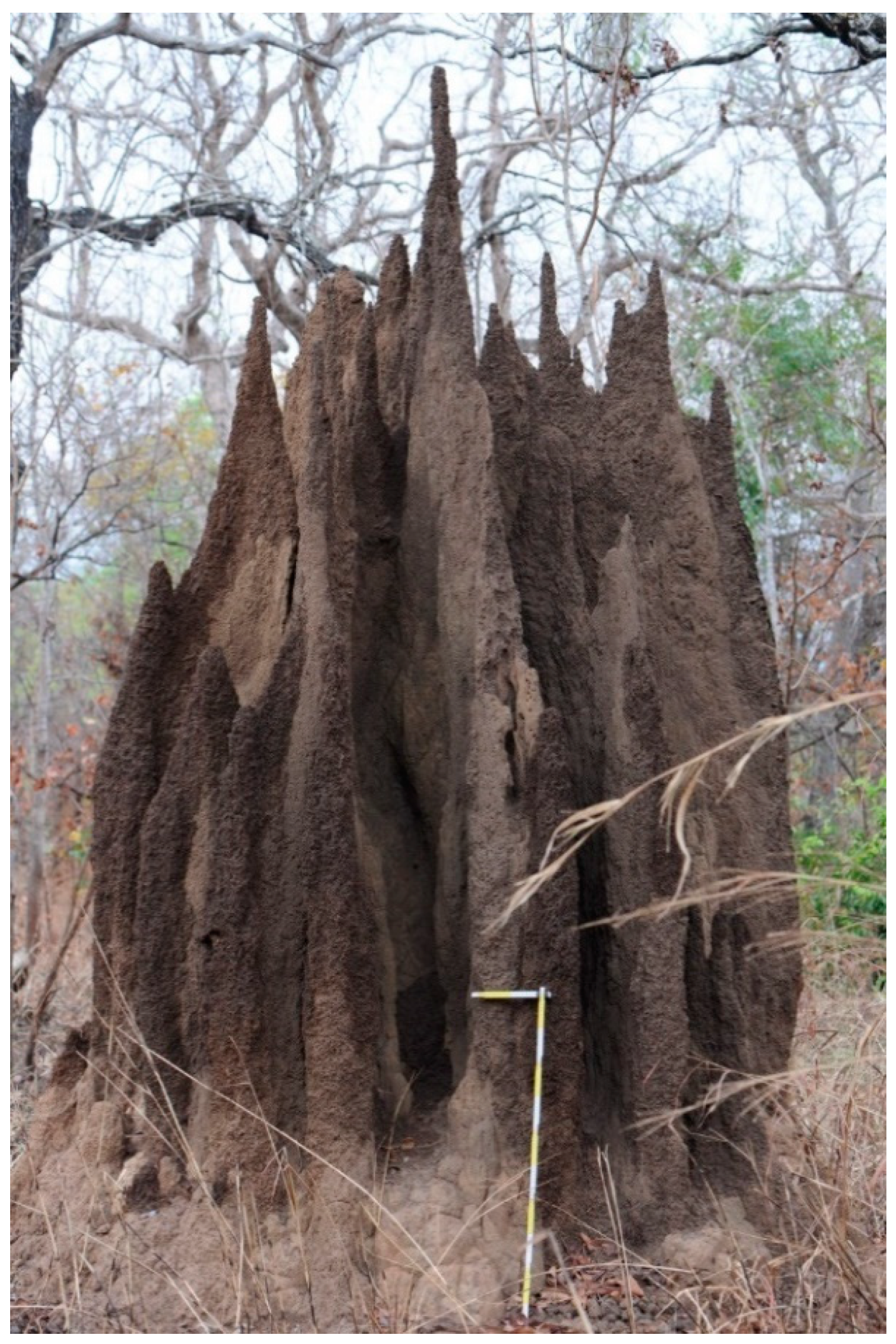 Insects 10 00032 g001 Insects 10 00032 g001