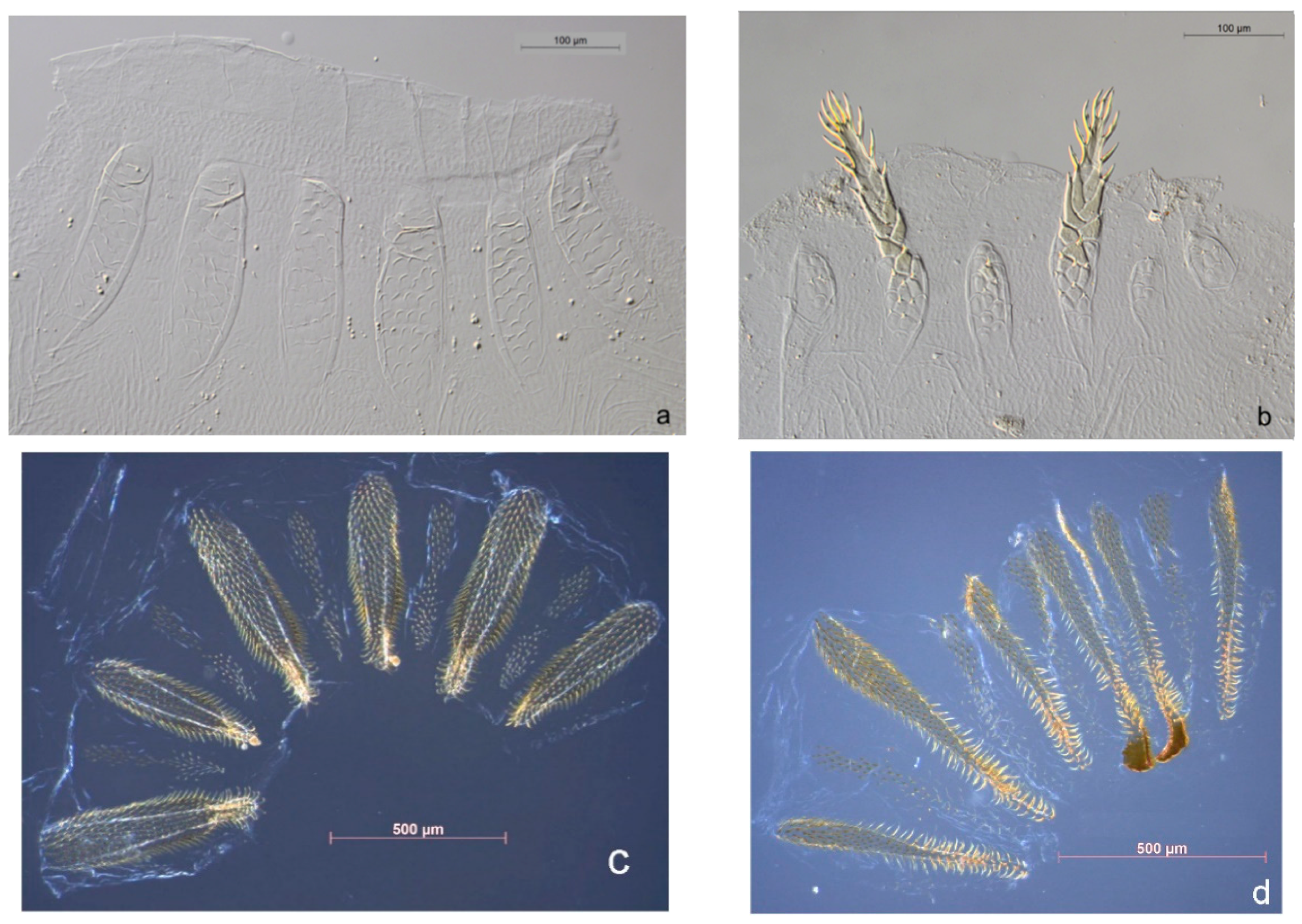 Insects 10 00032 g002 Insects 10 00032 g002