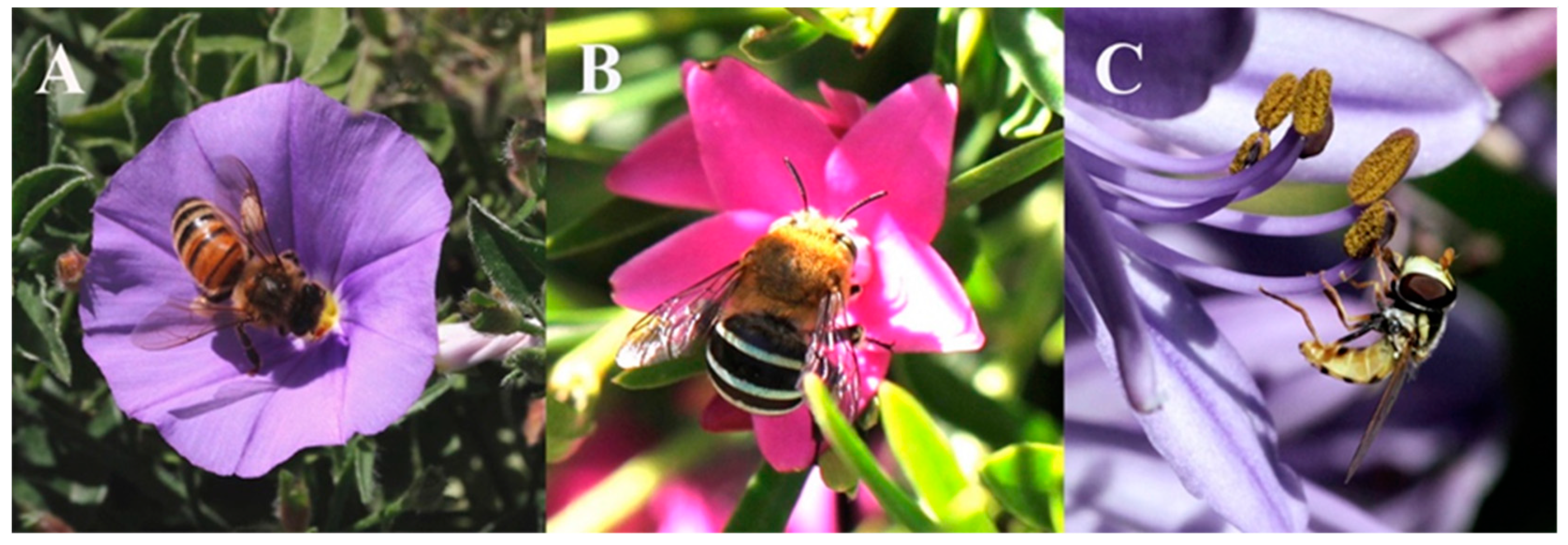 Insects 10 00040 g005 Insects 10 00040 g005