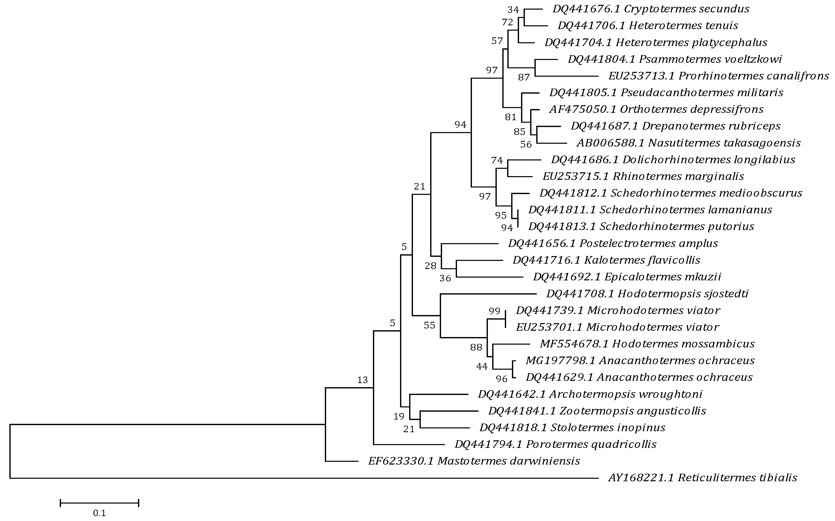 Insects 10 00051 g002