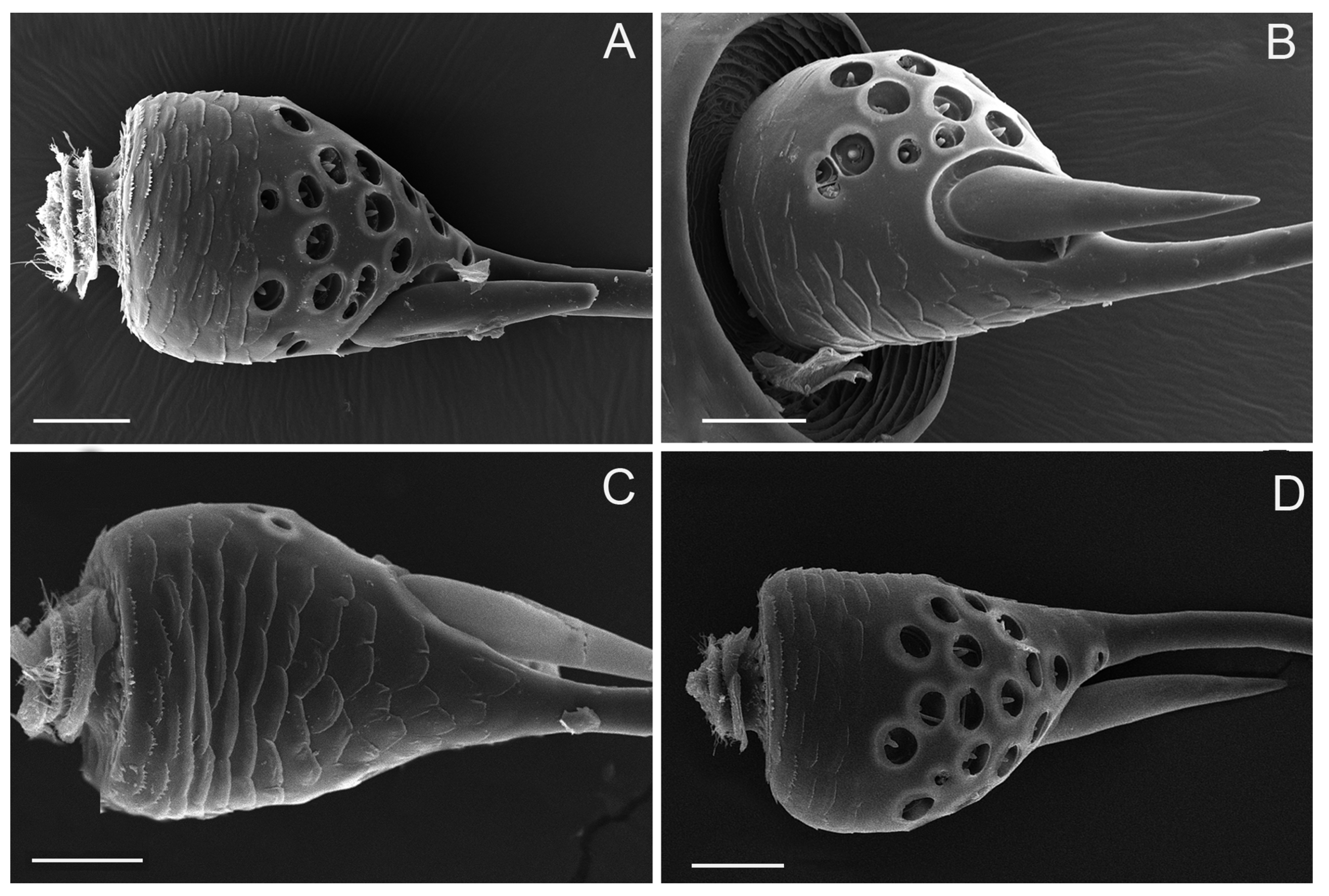 Insects 10 00056 g005 Insects 10 00056 g005