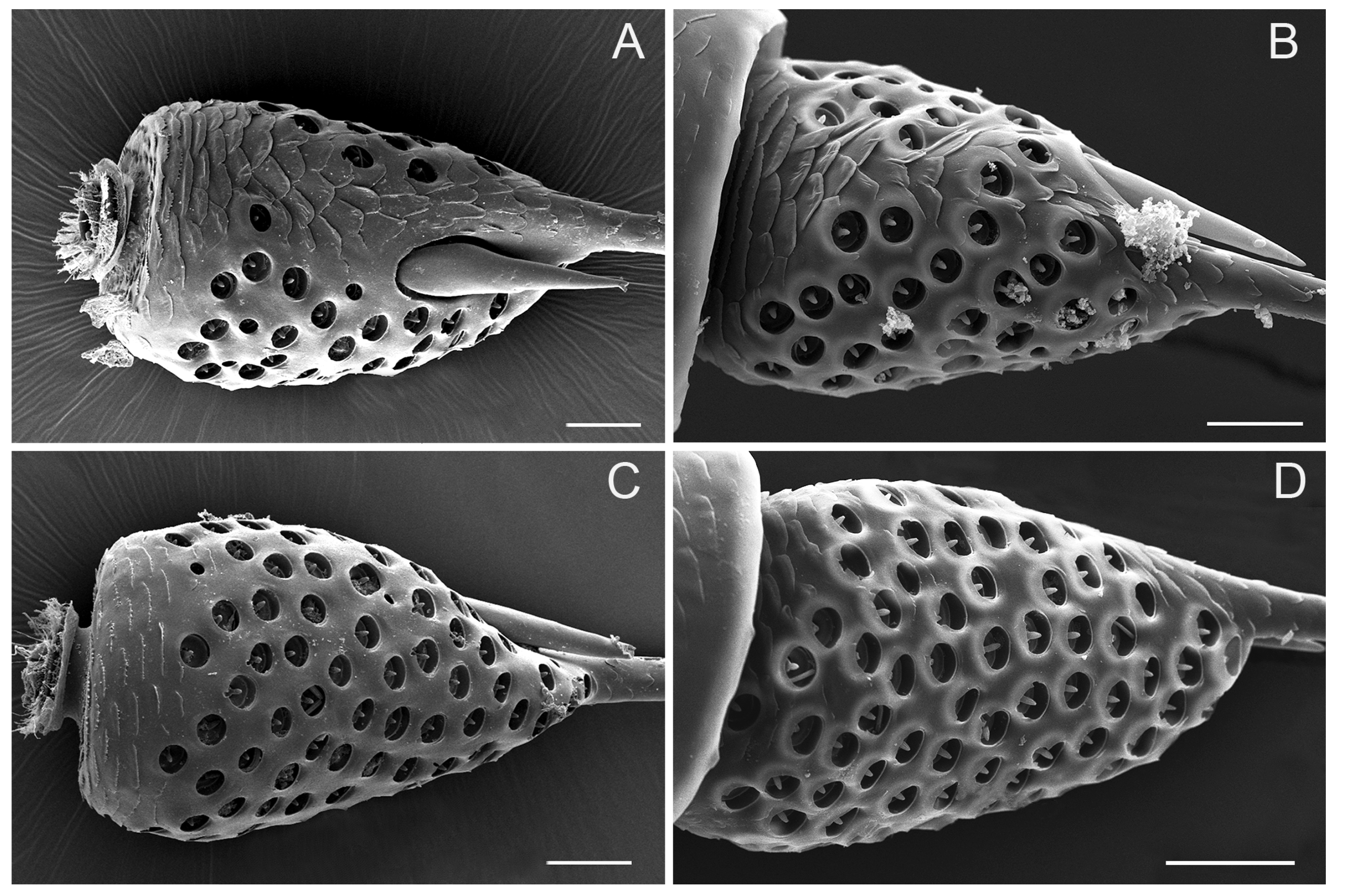 Insects 10 00056 g006 Insects 10 00056 g006