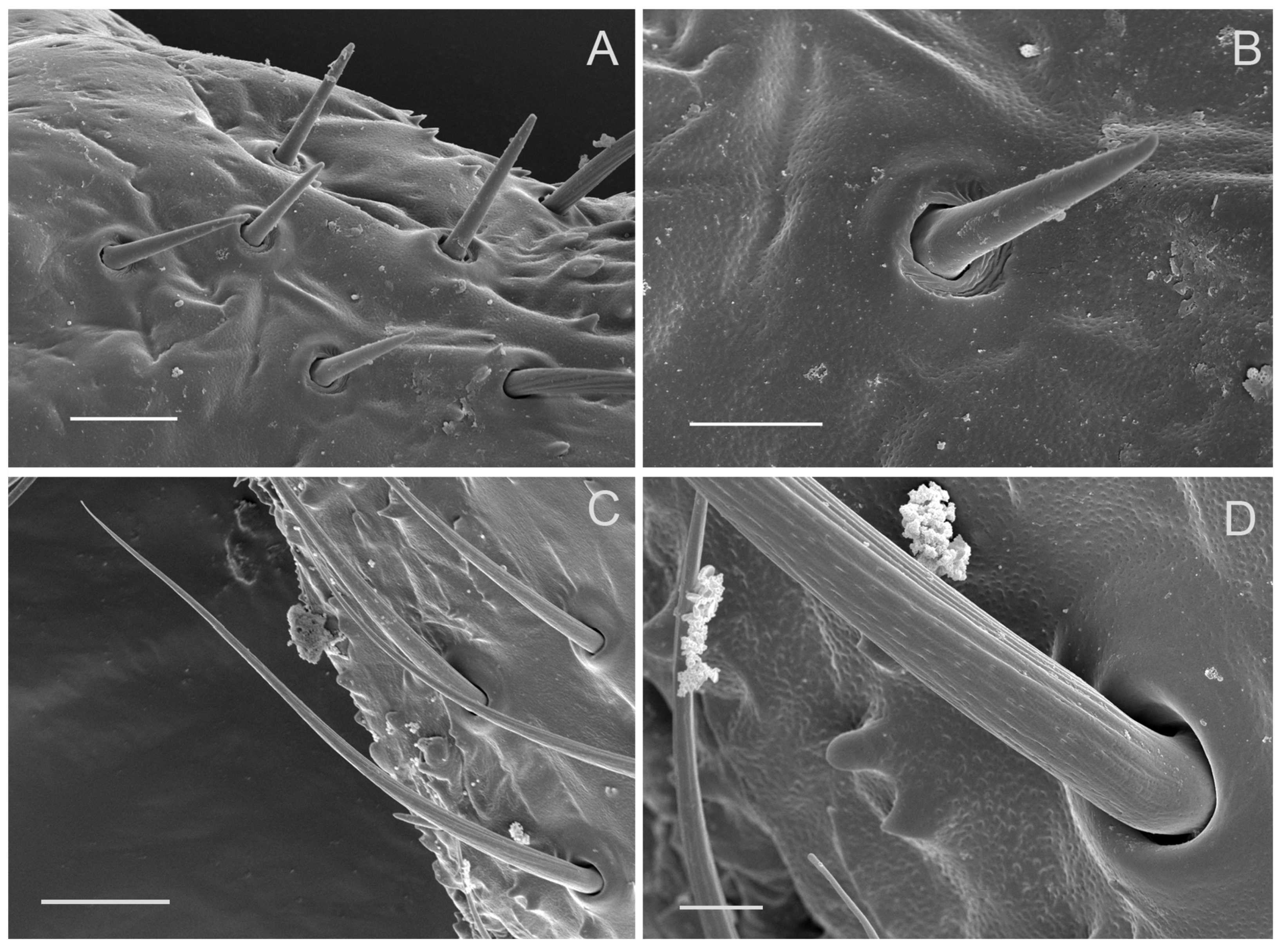 Insects 10 00056 g008 Insects 10 00056 g008