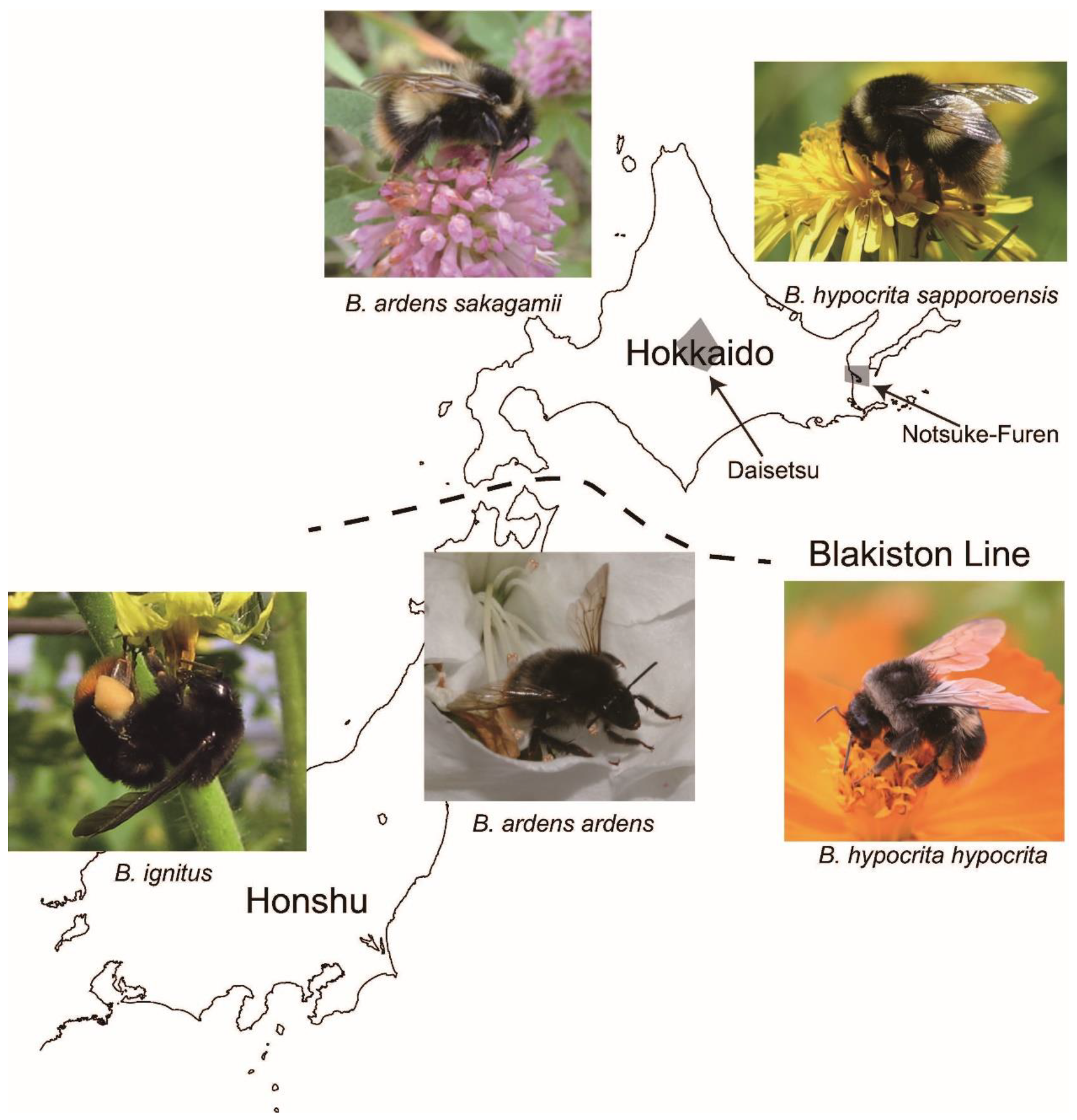 Insects 10 00059 g001 Insects 10 00059 g001