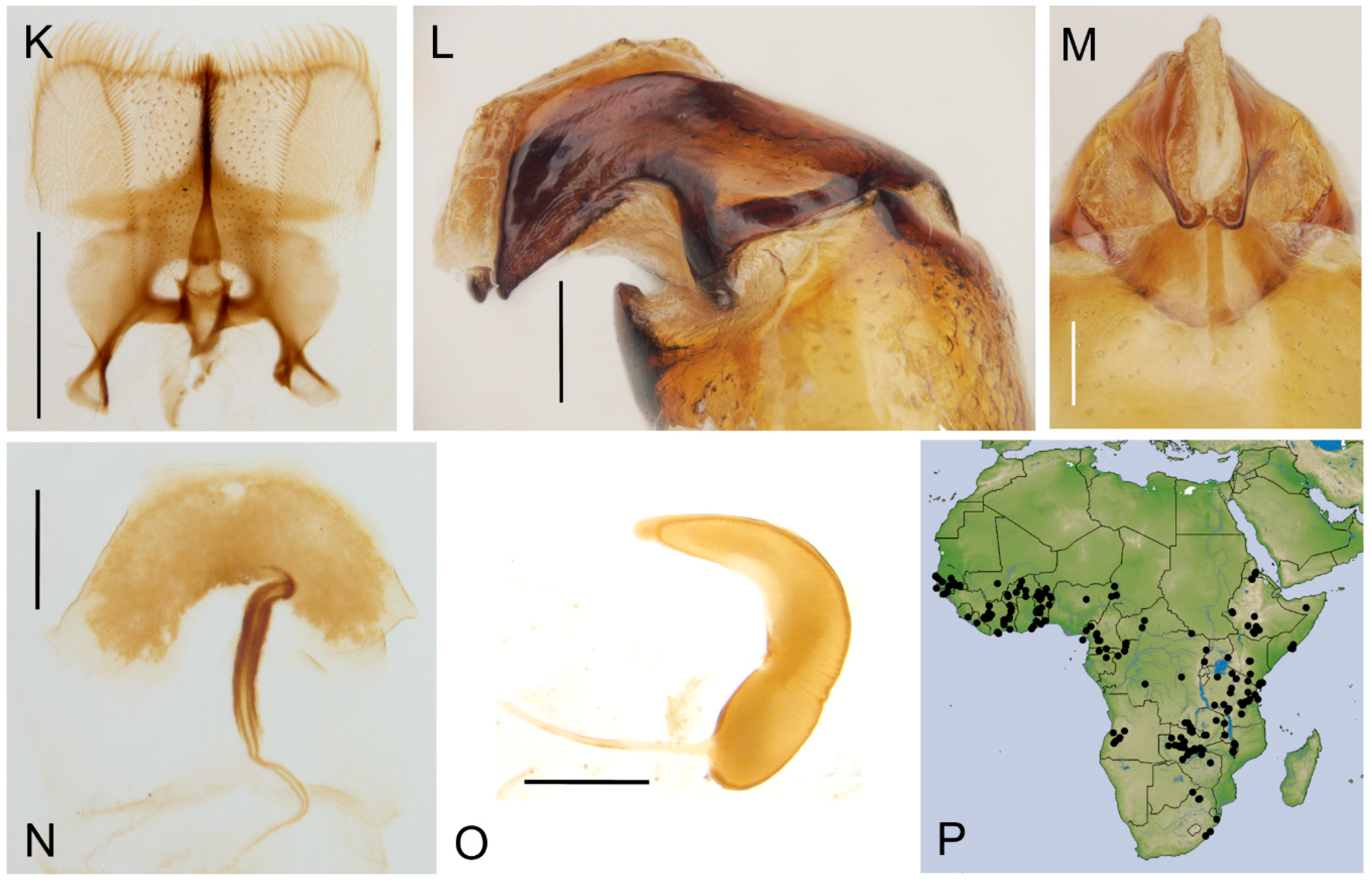 Insects 10 00064 g006b
