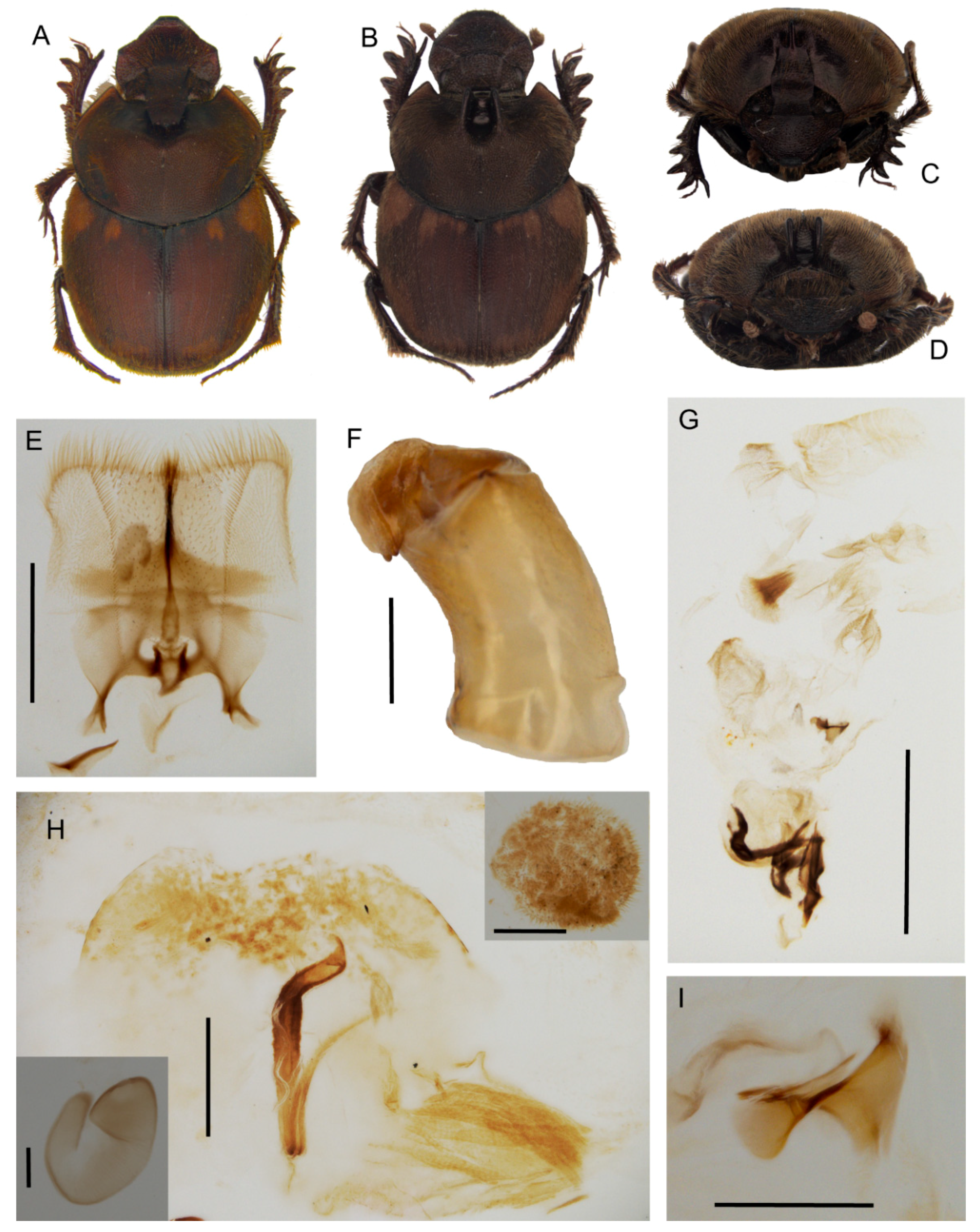 Insects 10 00064 g009