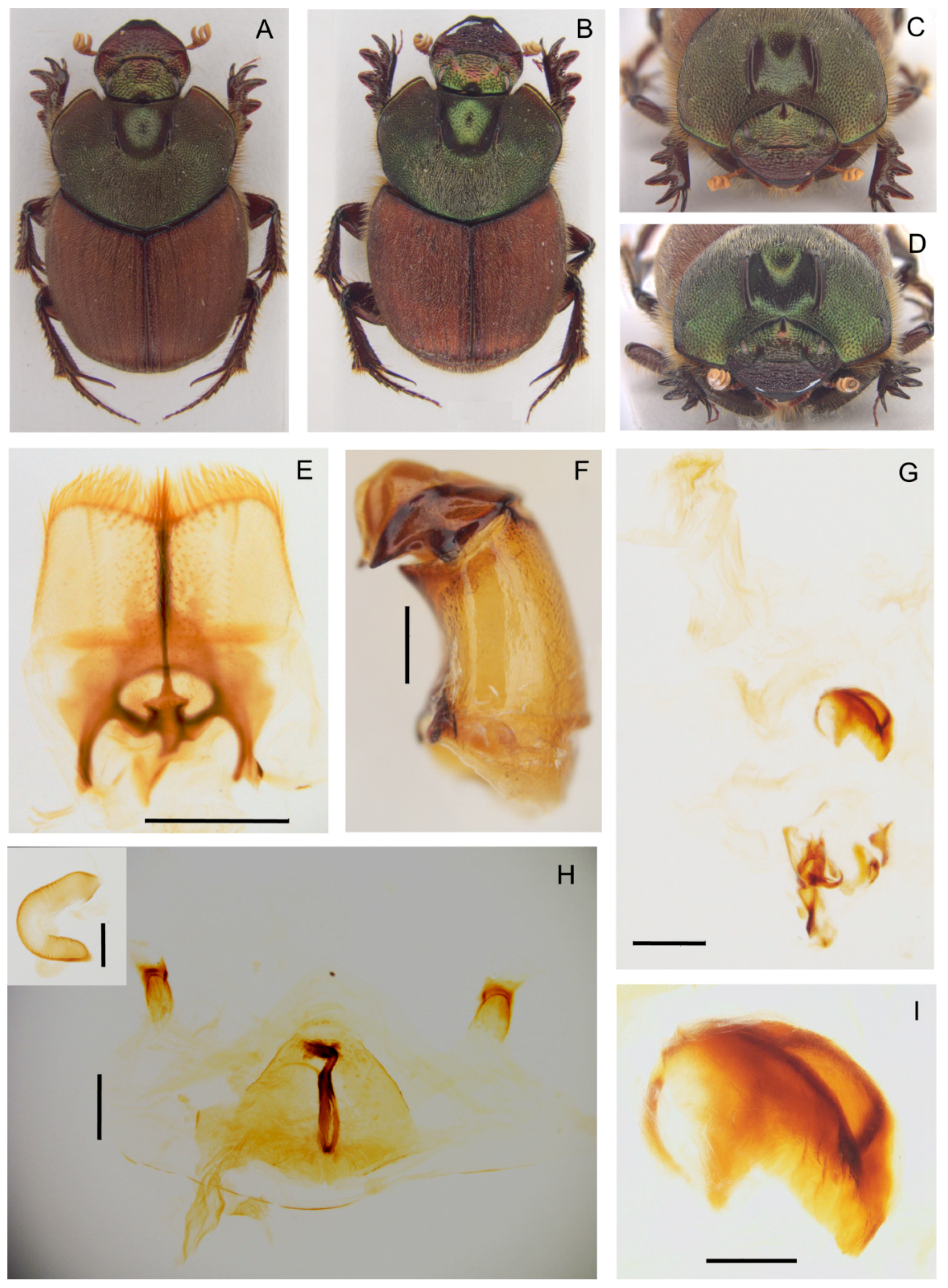 Insects 10 00064 g012