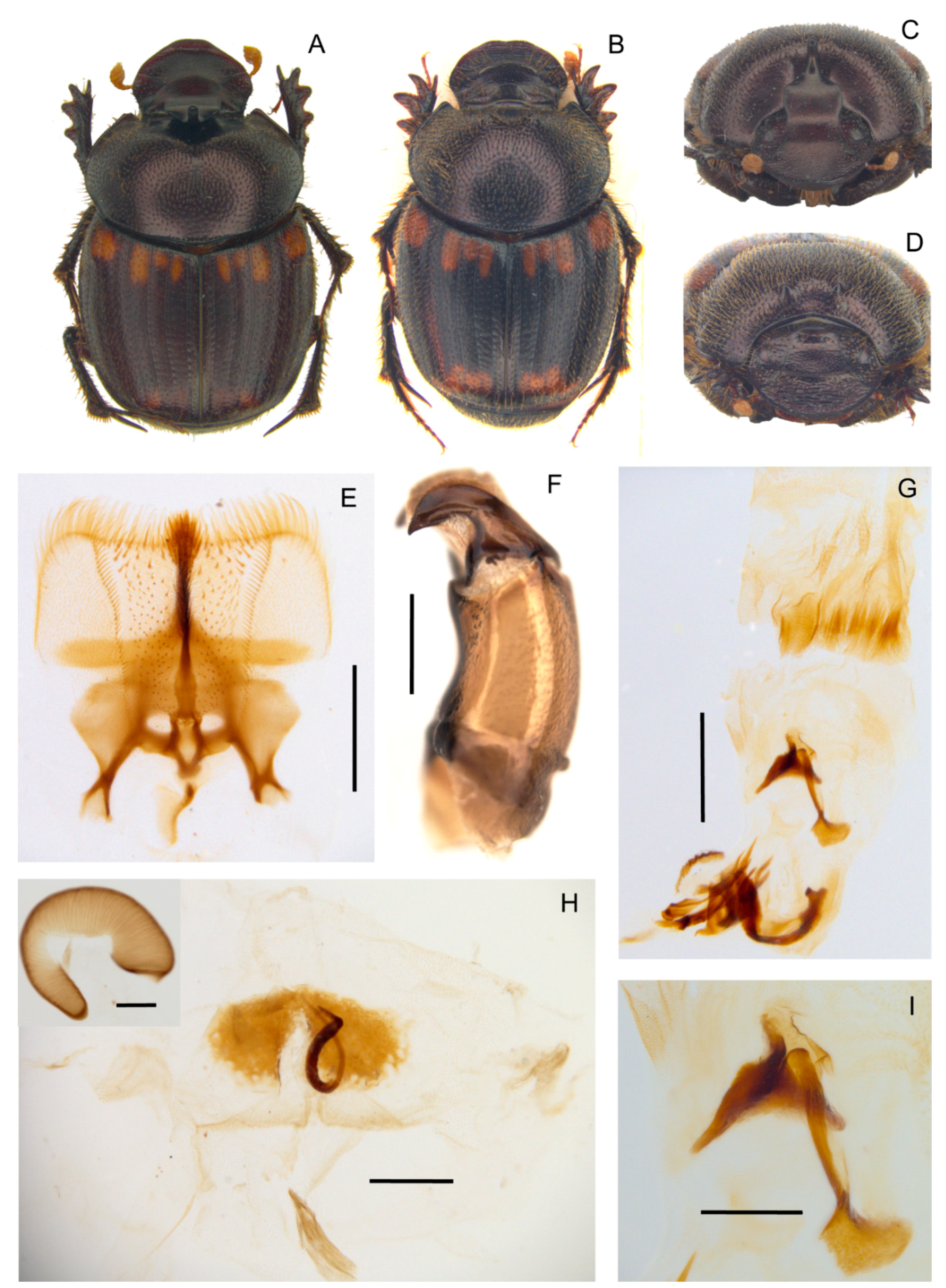 Insects 10 00064 g013