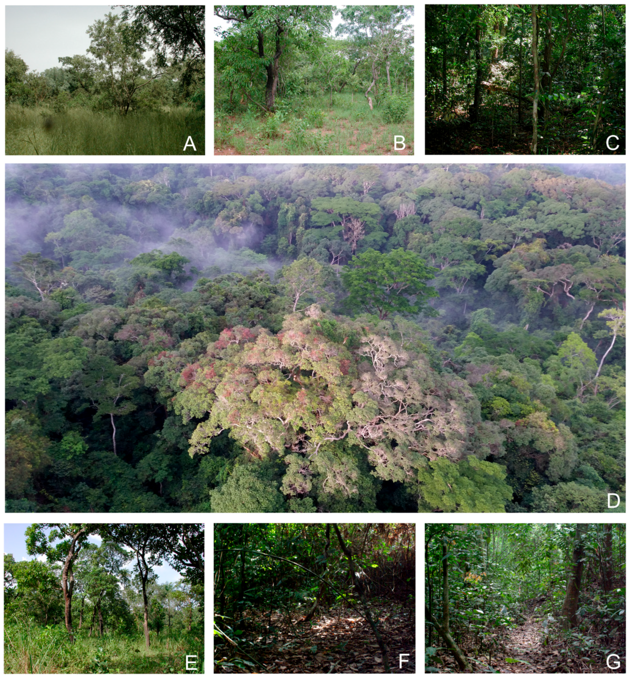 Insects 10 00064 g015