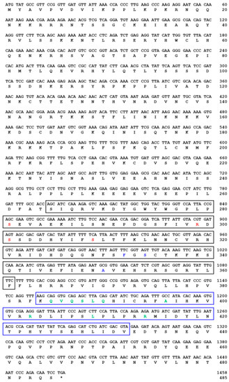 Insects Free Full Text Molecular Cloning And Expression