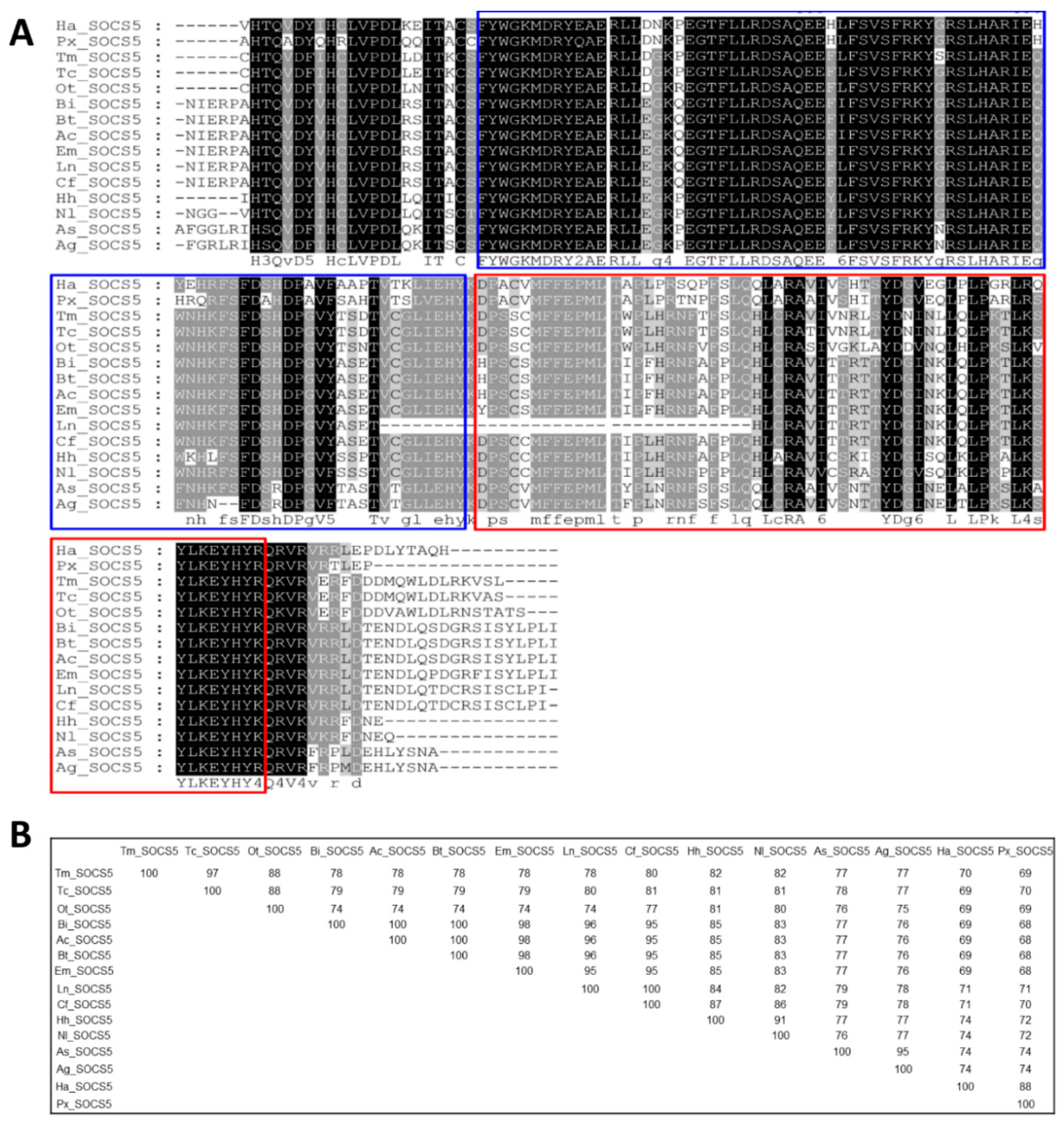 Insects 10 00076 g004