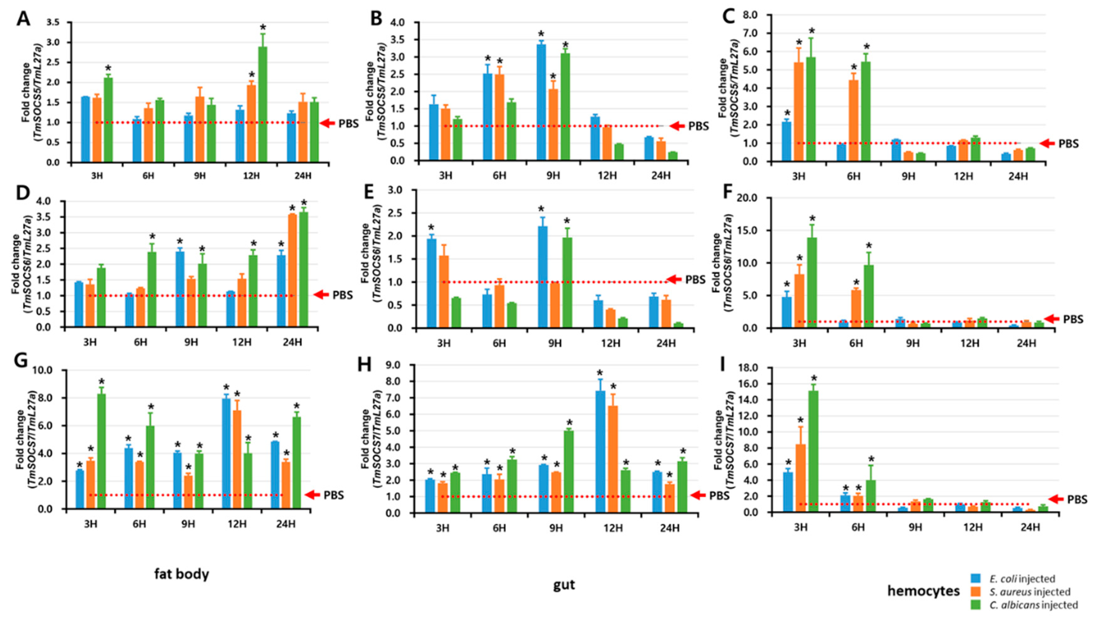 Insects 10 00076 g010