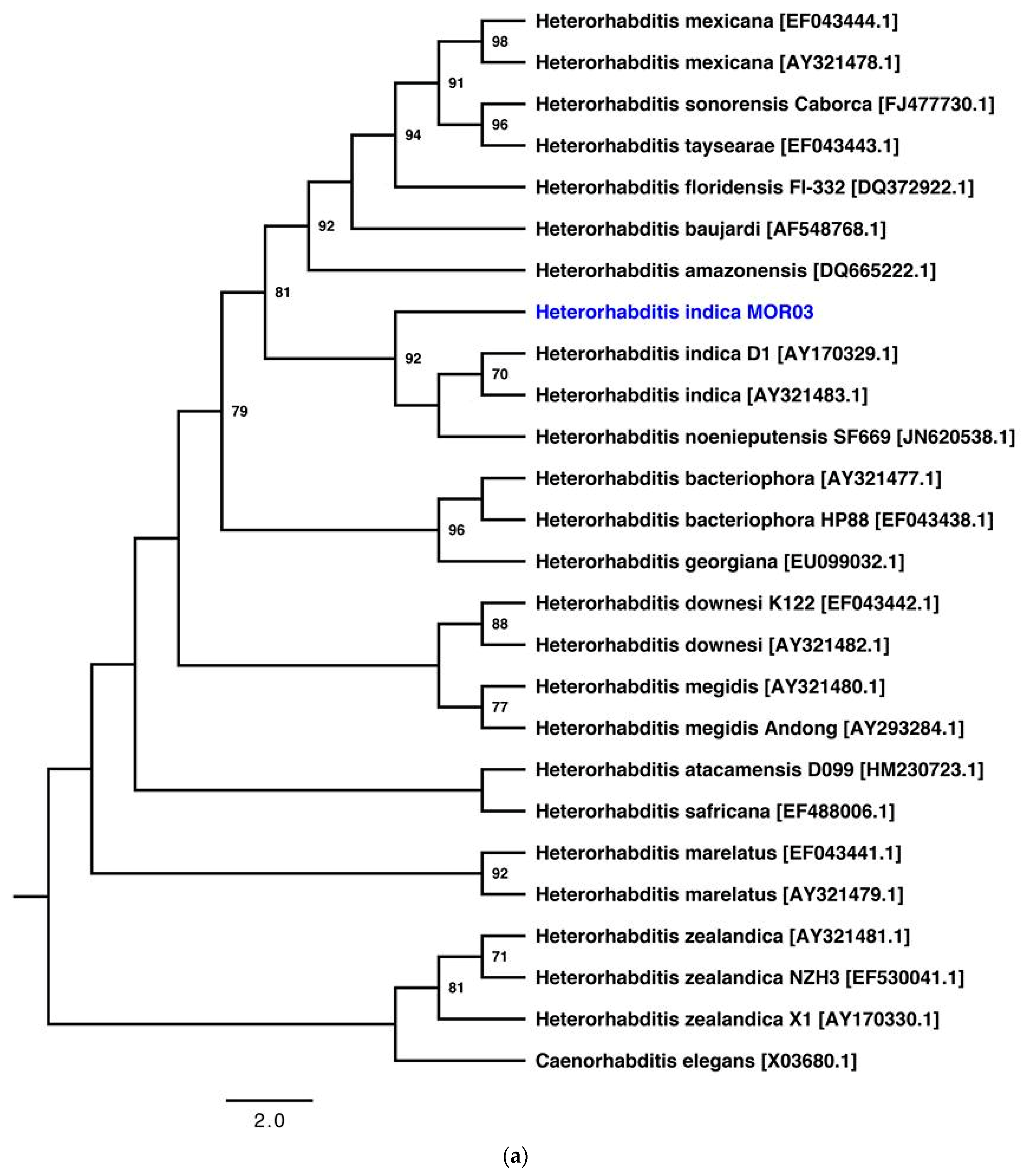 Insects 10 00083 g001a Insects 10 00083 g001a