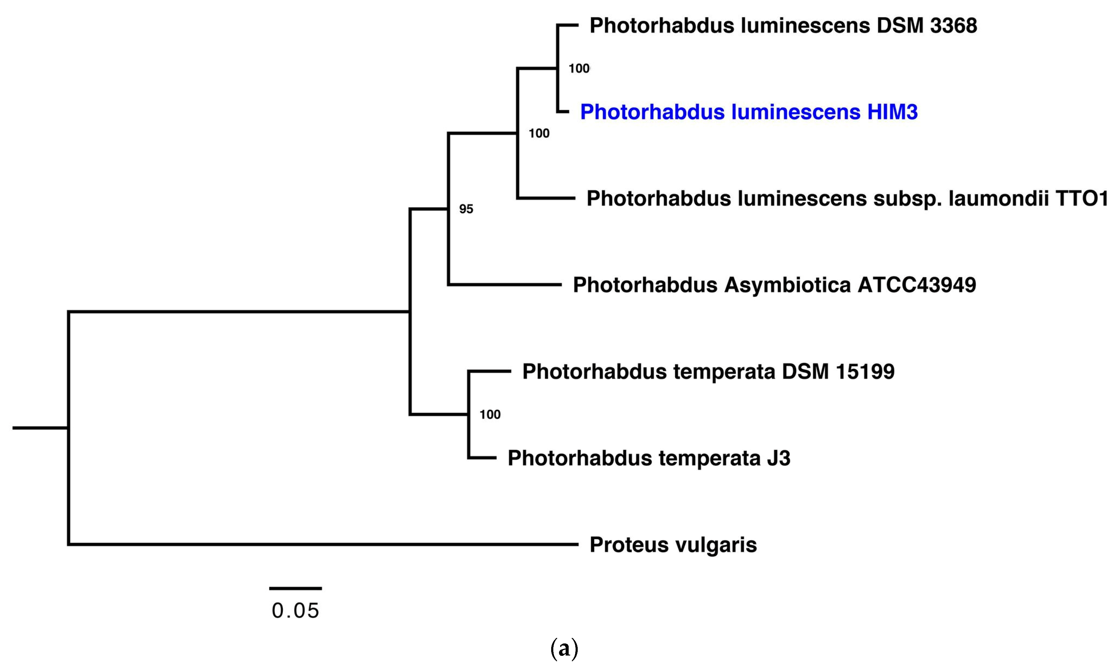 Insects 10 00083 g002a Insects 10 00083 g002a