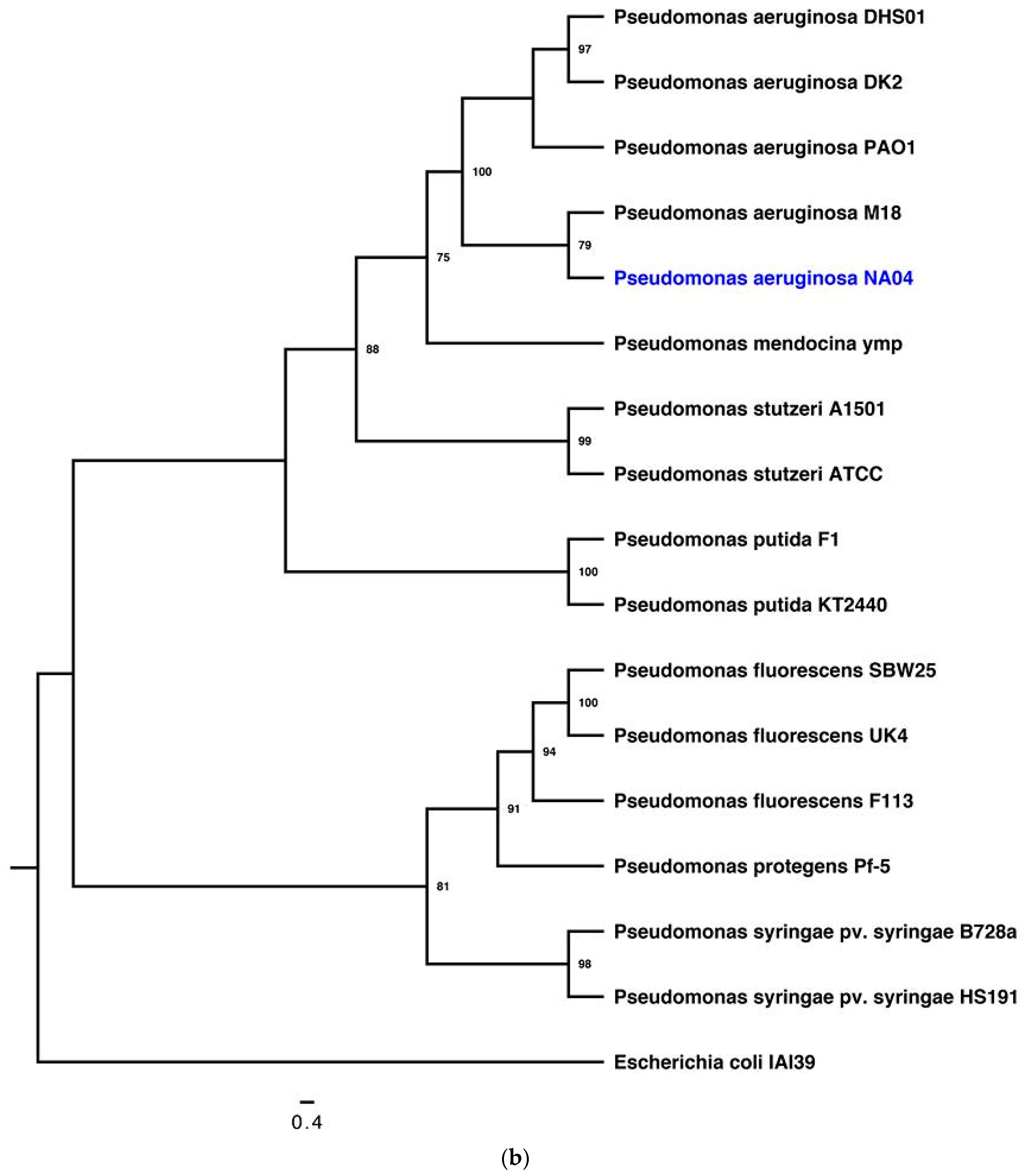Insects 10 00083 g002b Insects 10 00083 g002b