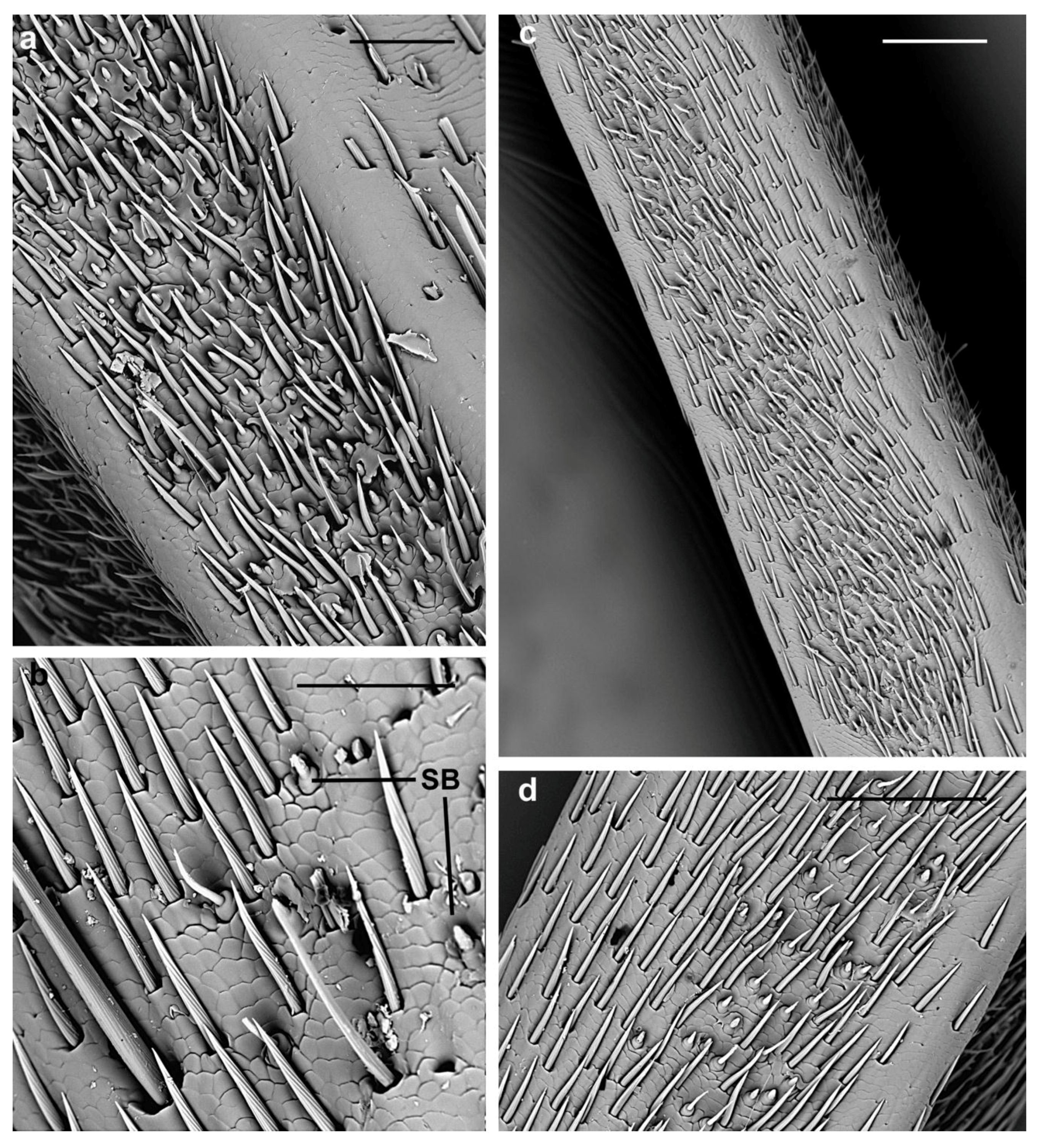 Insects 10 00088 g012