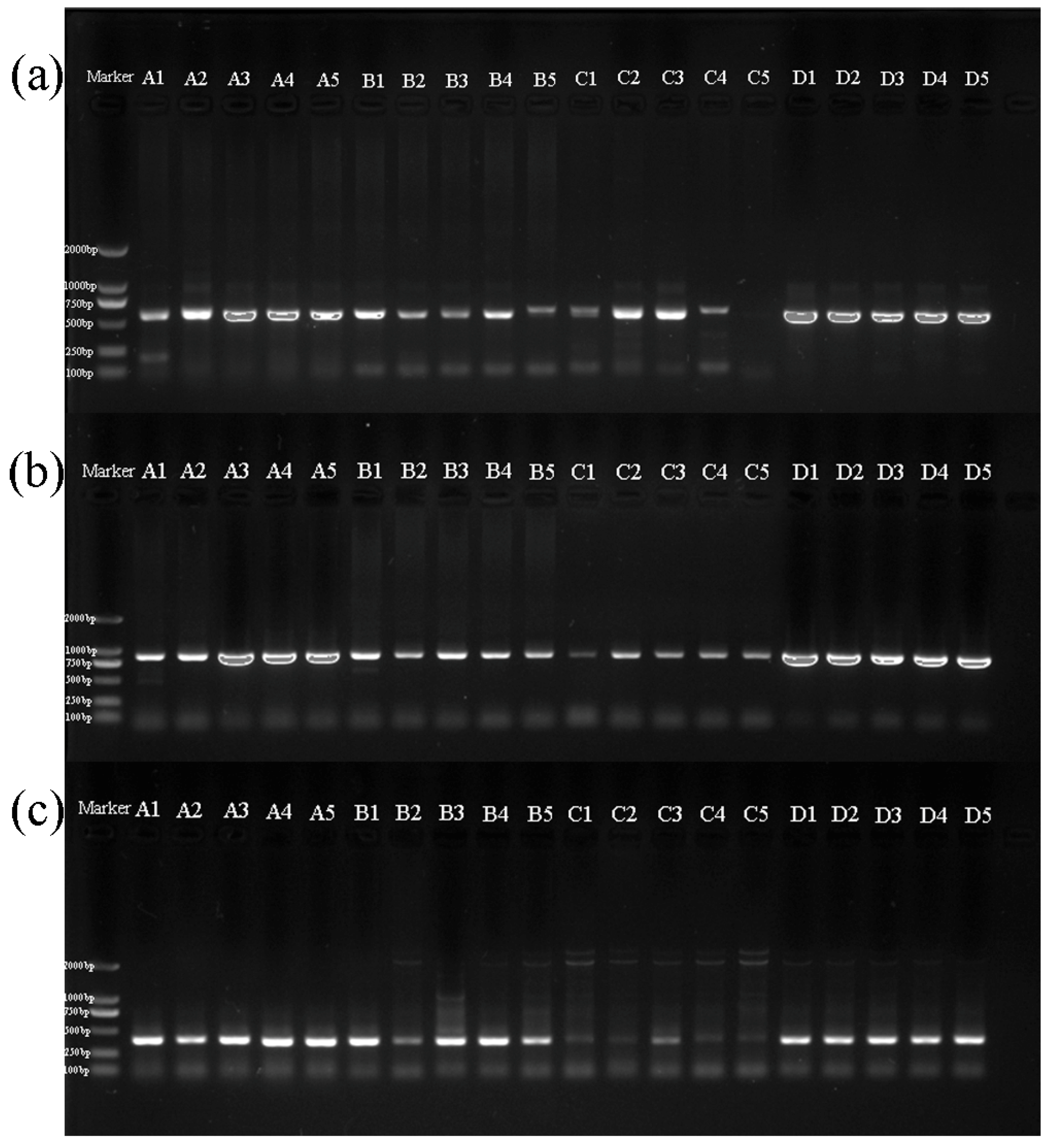 Insects 10 00091 g001 Insects 10 00091 g001