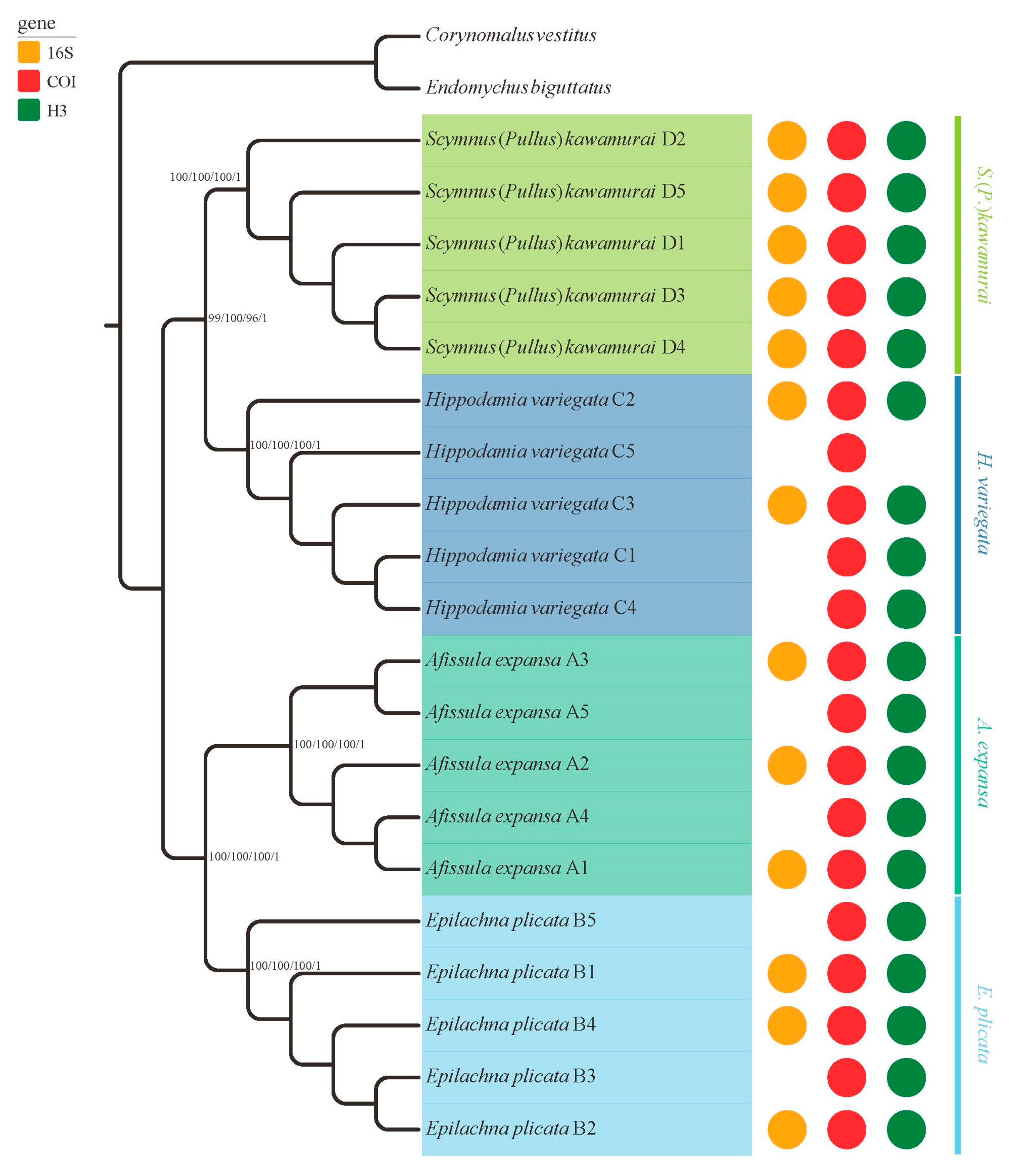 Insects 10 00091 g003 Insects 10 00091 g003