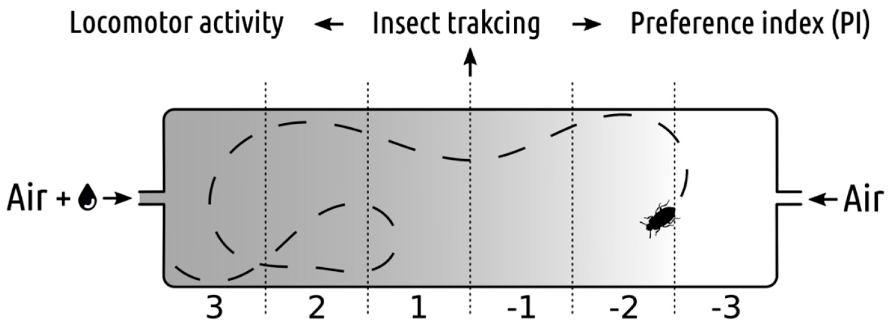 Insects 10 00096 g001