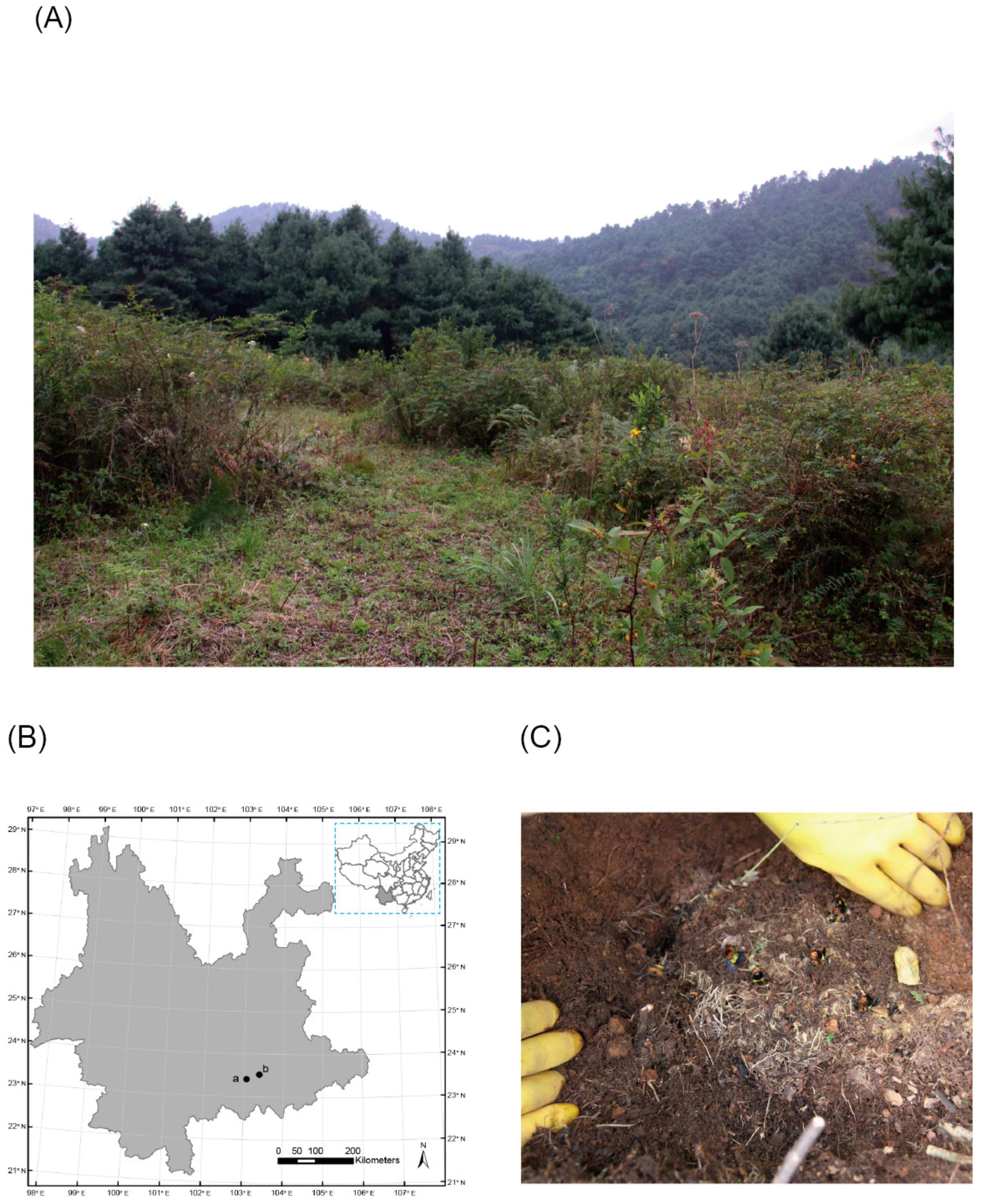 Insects 10 00104 g001 Insects 10 00104 g001