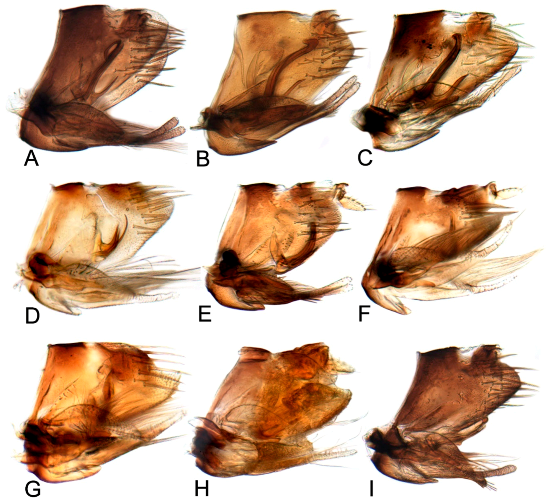 Insects 10 00120 g008