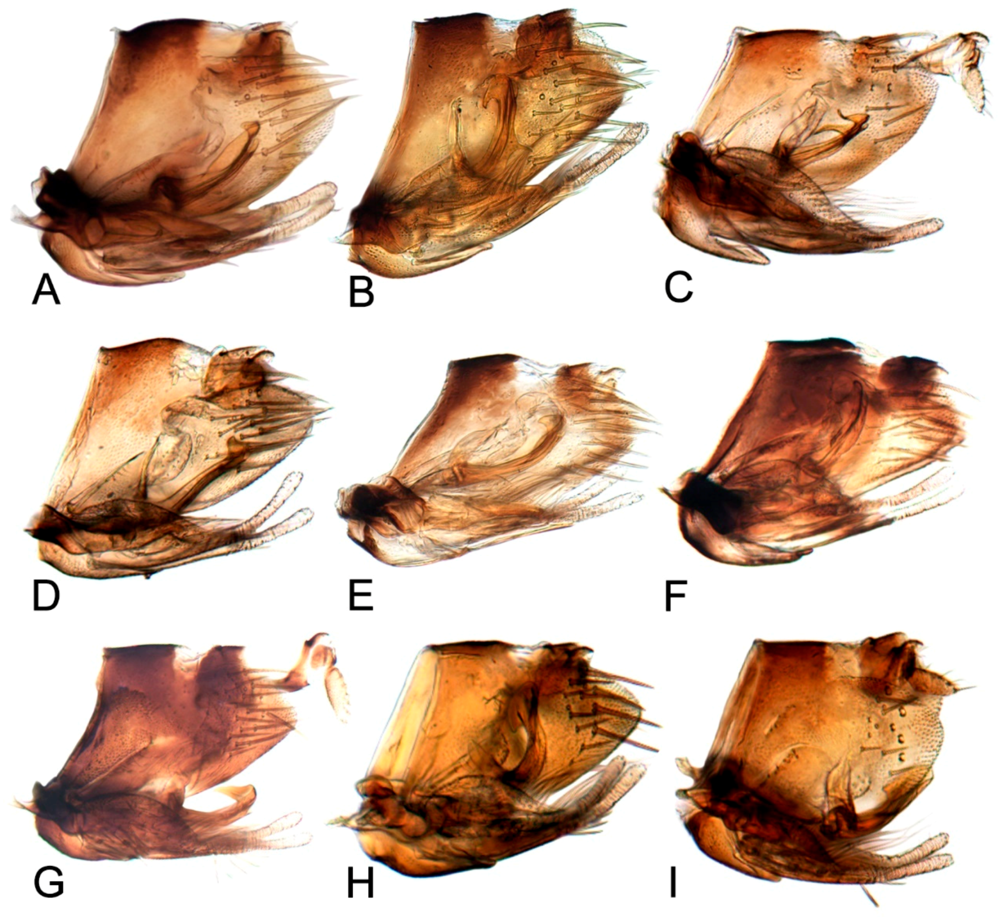 Insects 10 00120 g009