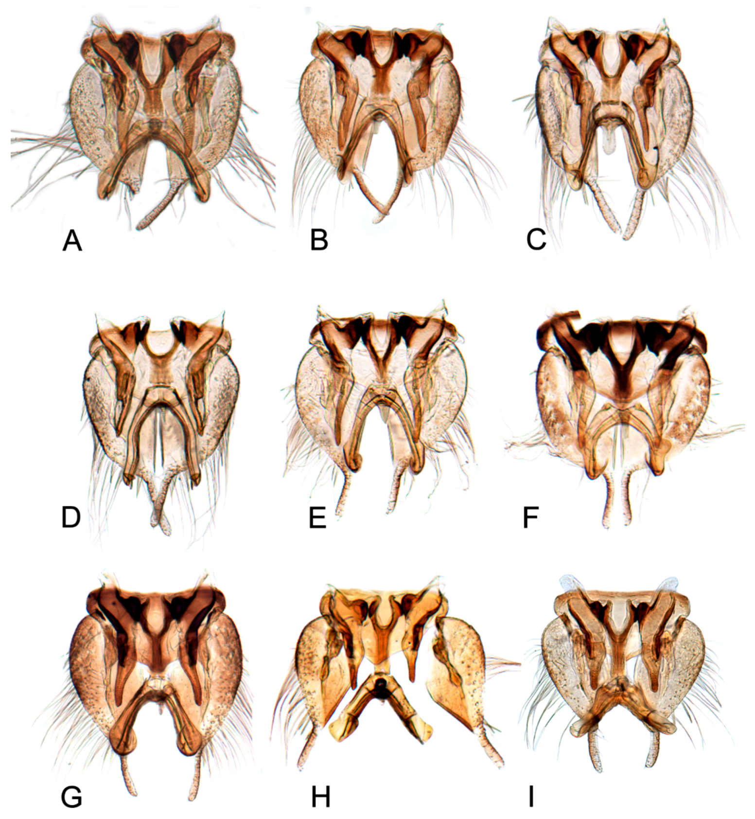 Insects 10 00120 g012