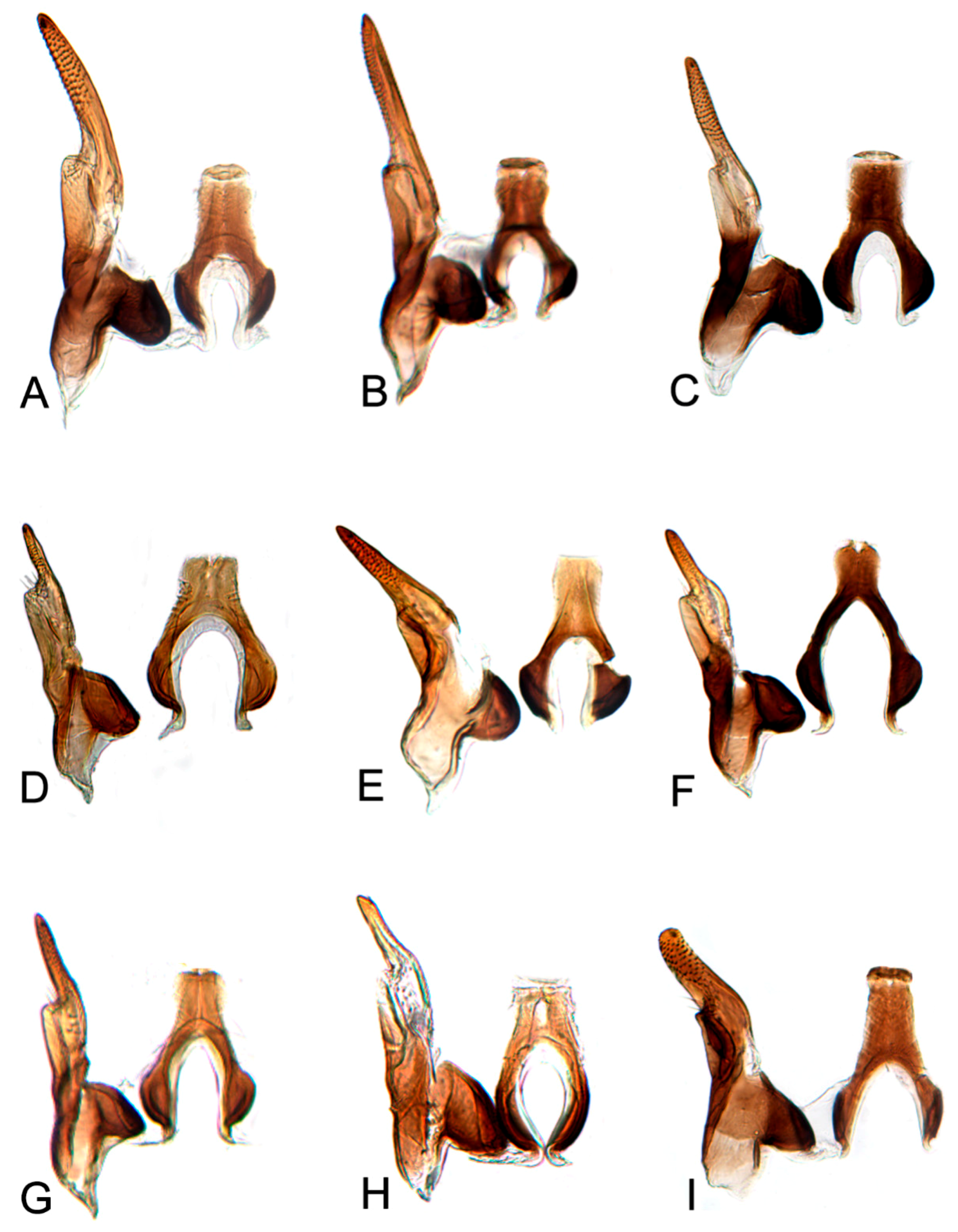 Insects 10 00120 g014