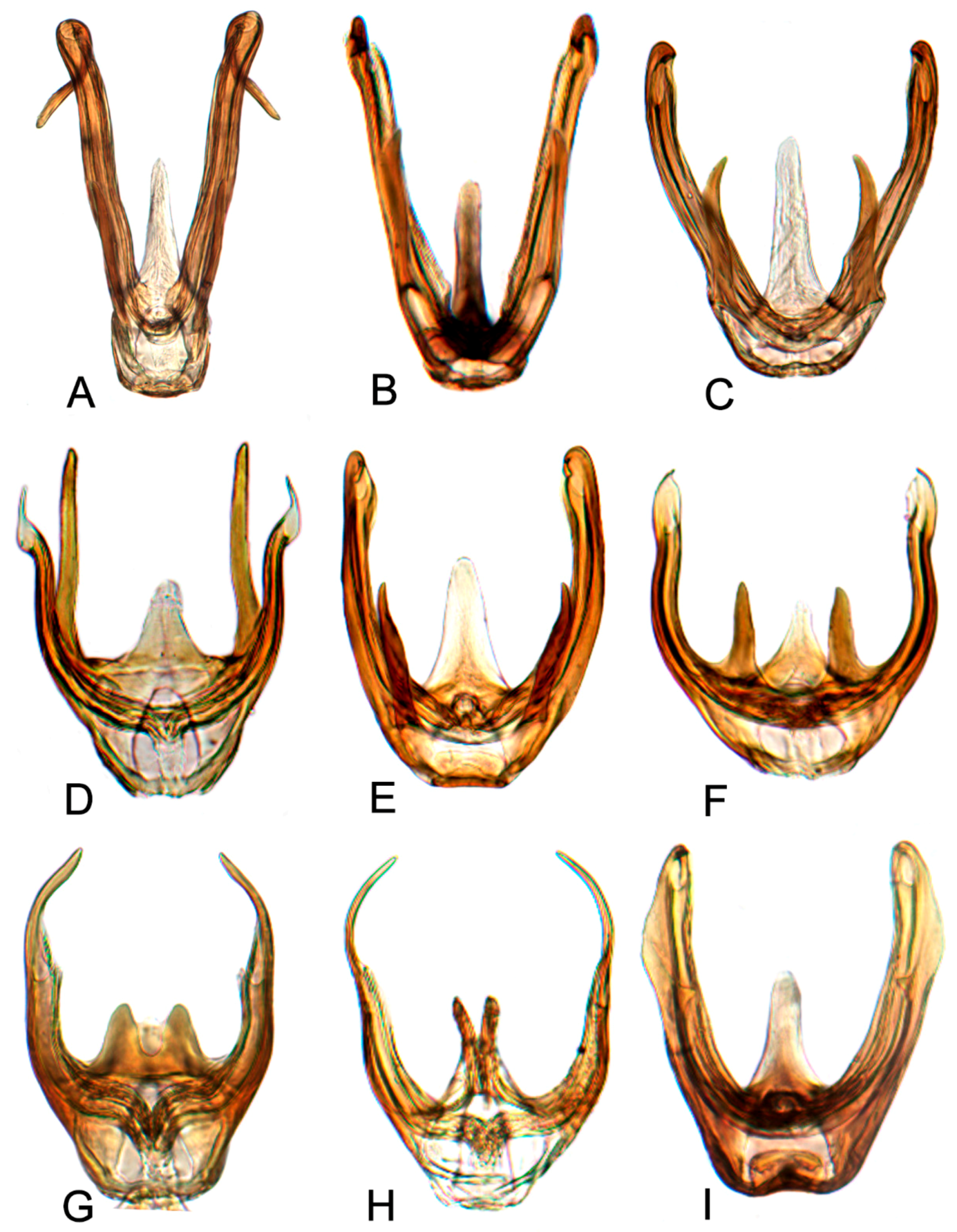 Insects 10 00120 g017