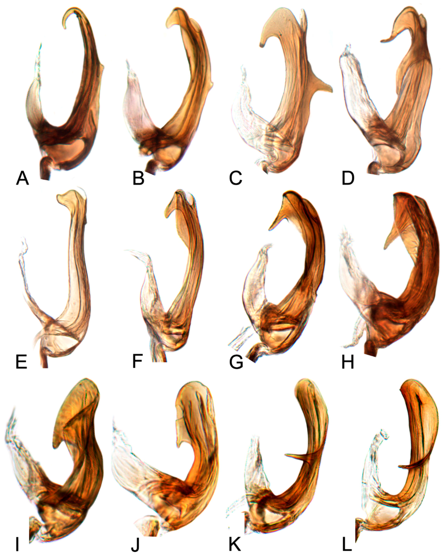 Insects 10 00120 g021