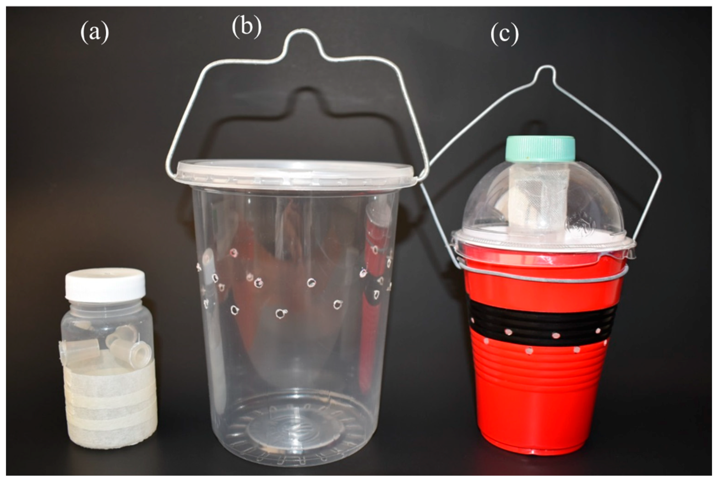 Insects 10 00137 g001 550