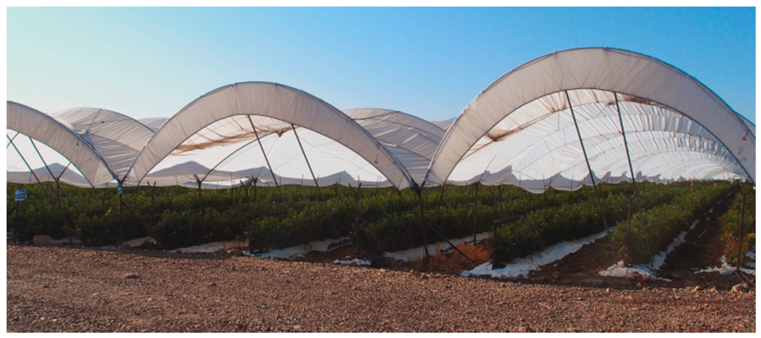 Insects 10 00137 g002 550