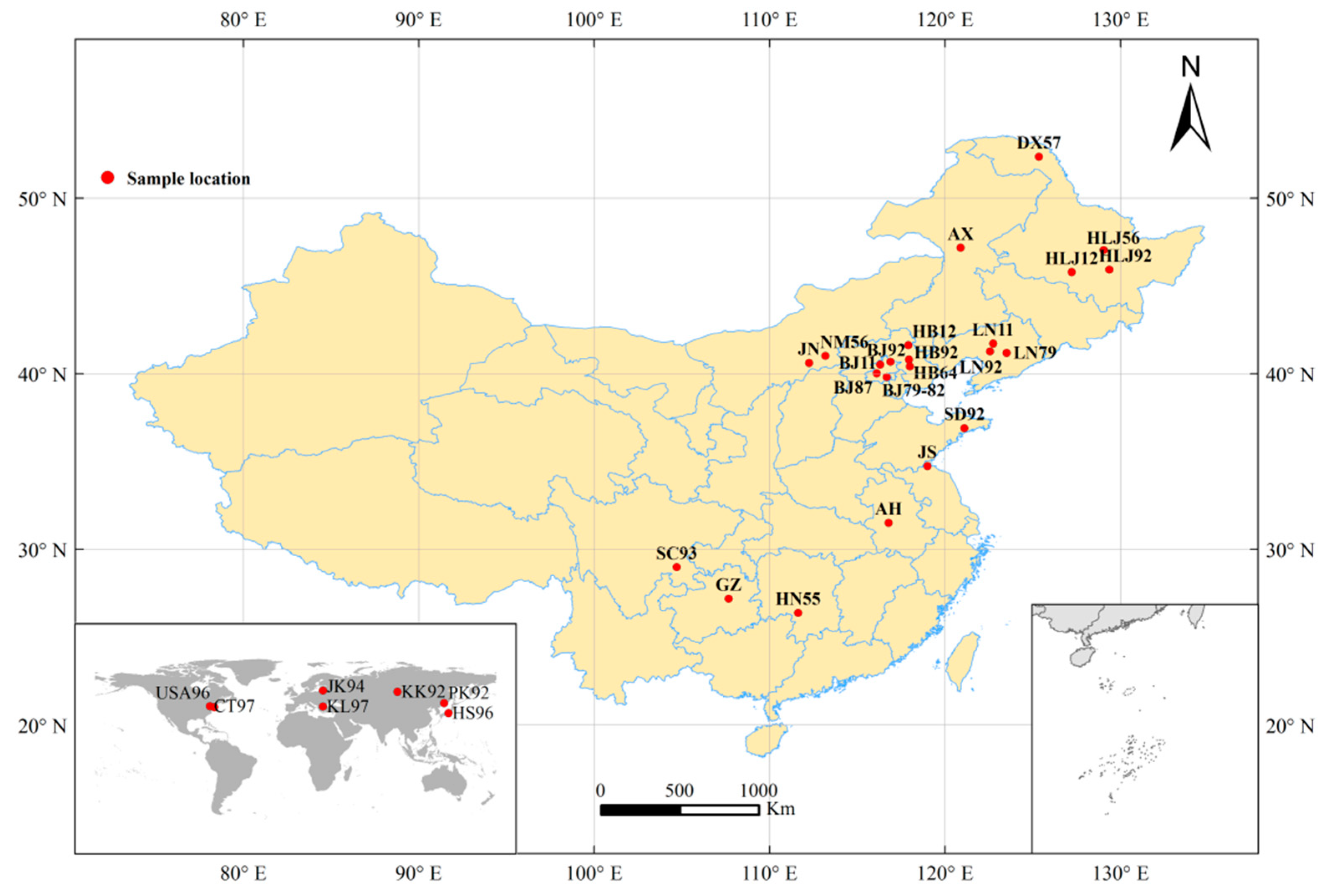 Mitochondrial Gene Sequence (COI) Reveals the Genetic