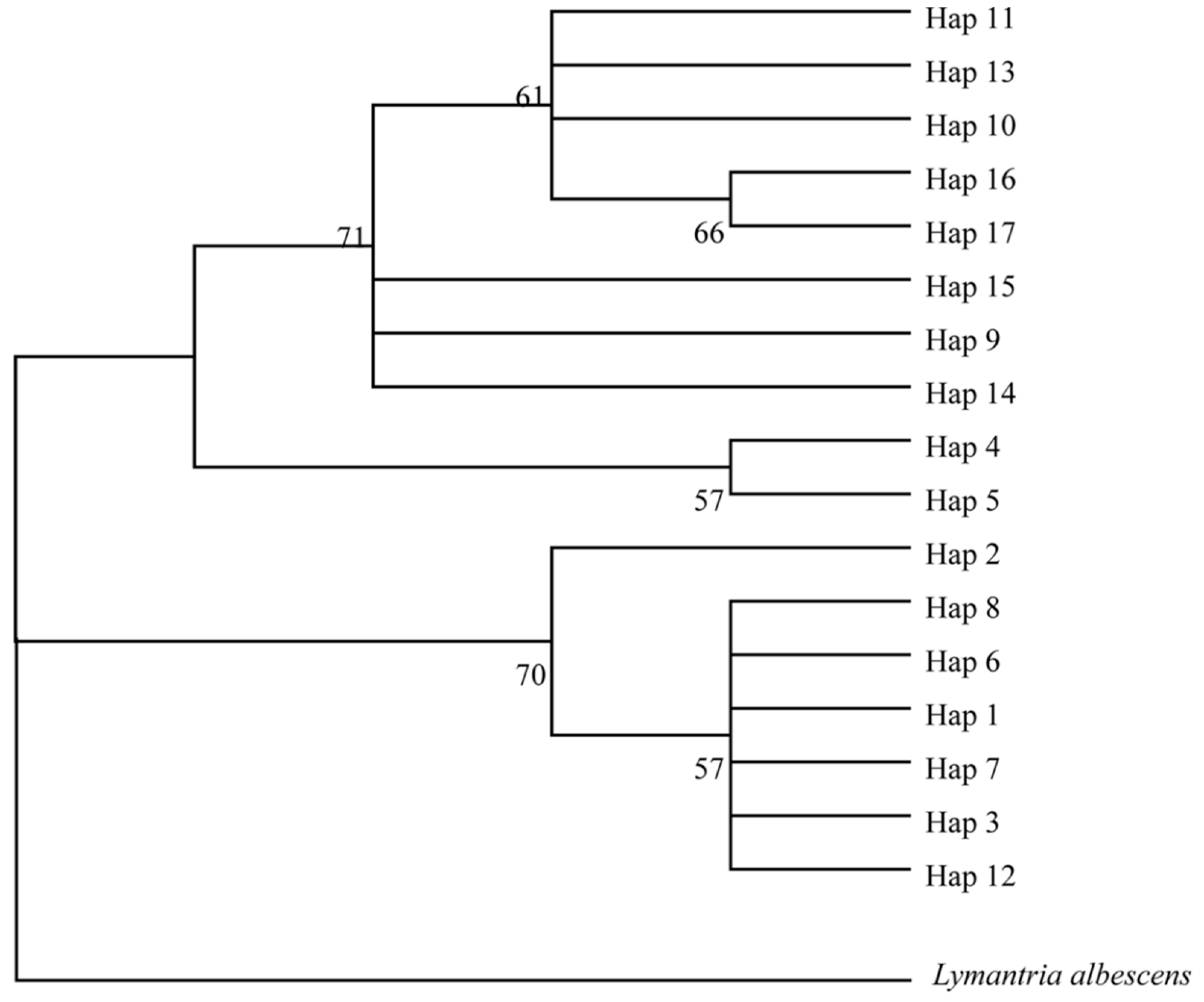 Insects 10 00146 g010