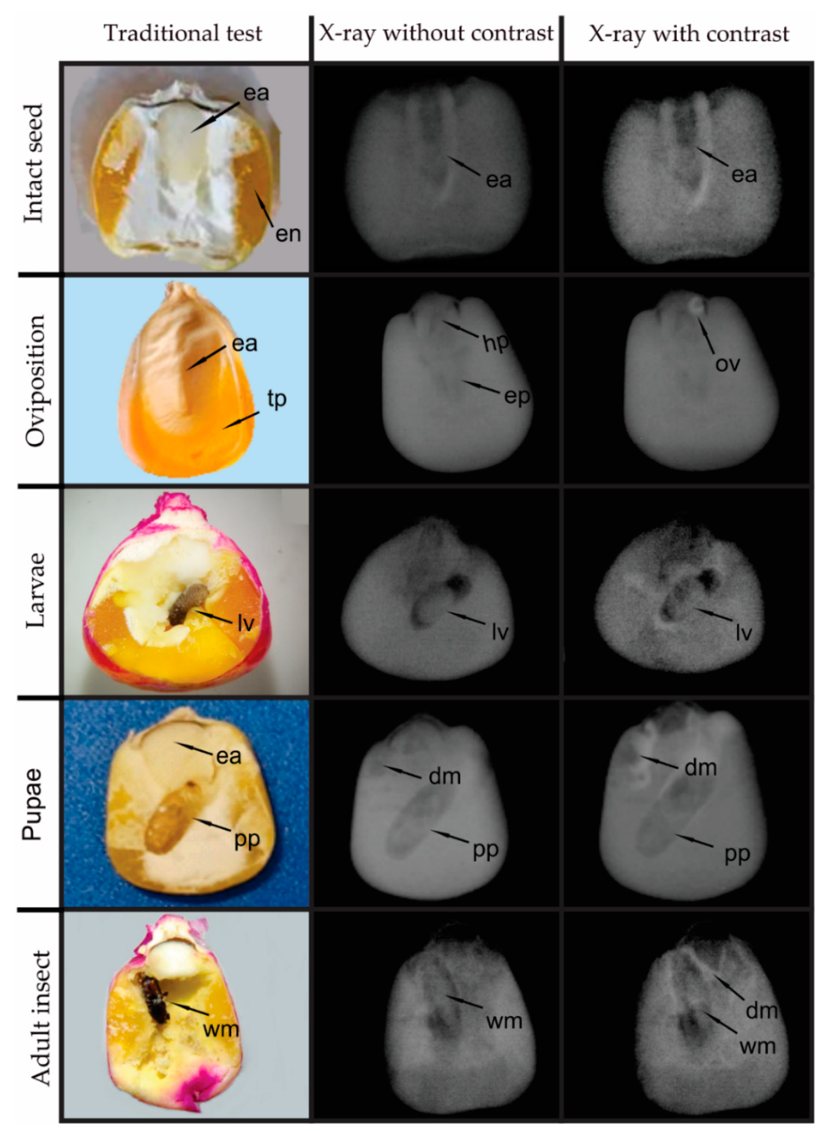 Insects 10 00156 g004 Insects 10 00156 g004