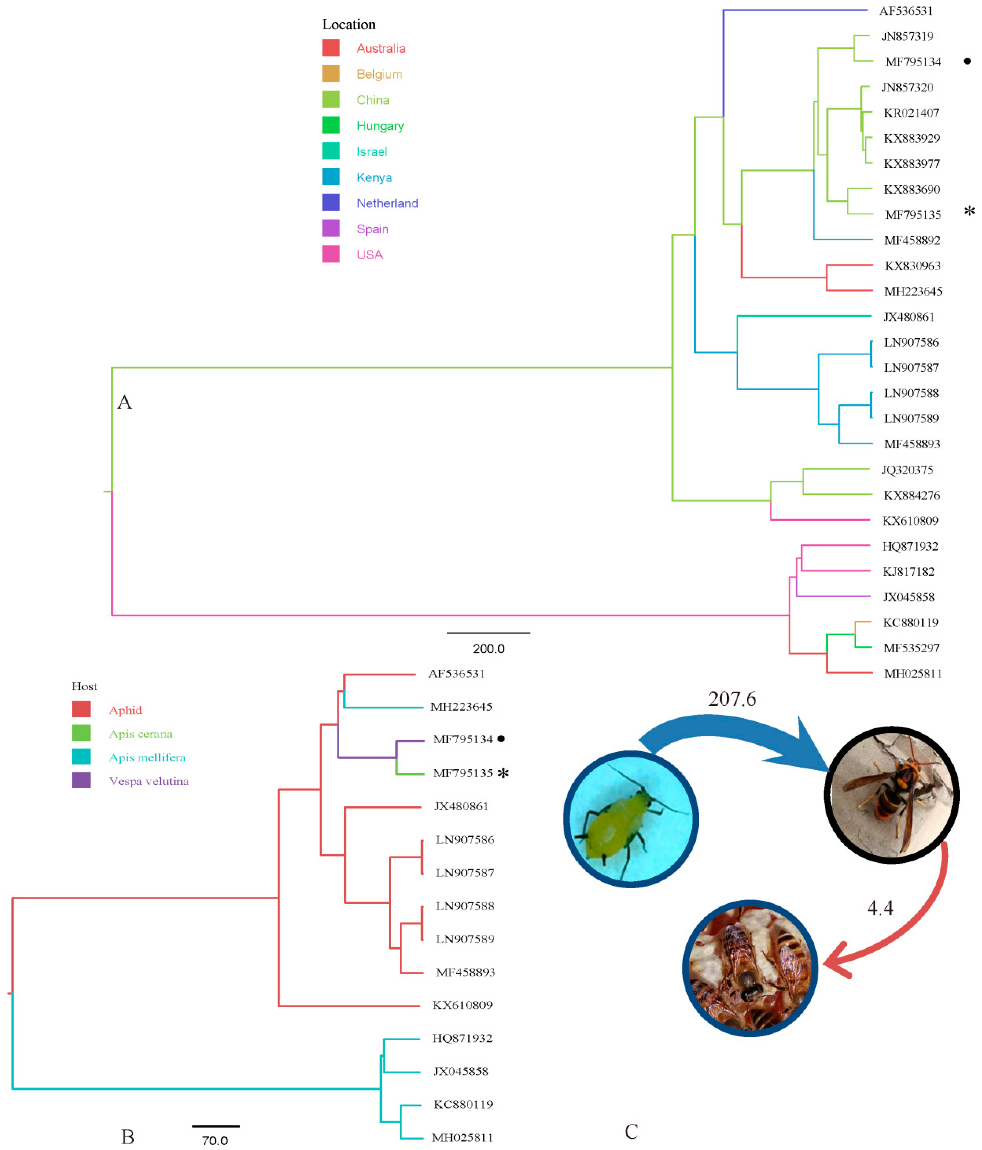 Insects 10 00157 g001 Insects 10 00157 g001